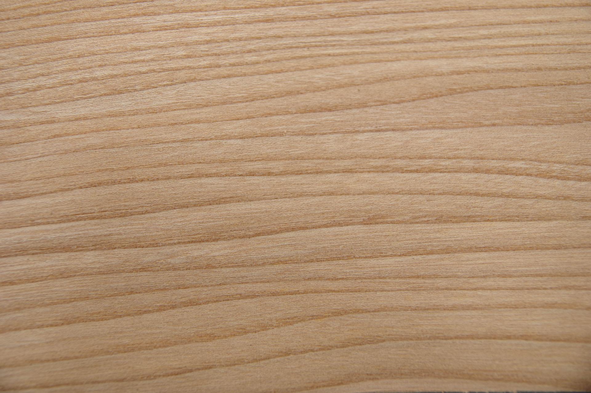 Elm, - veneer (0,6mm) - 1,14m² (16pcs. x 55cm x 13cm)