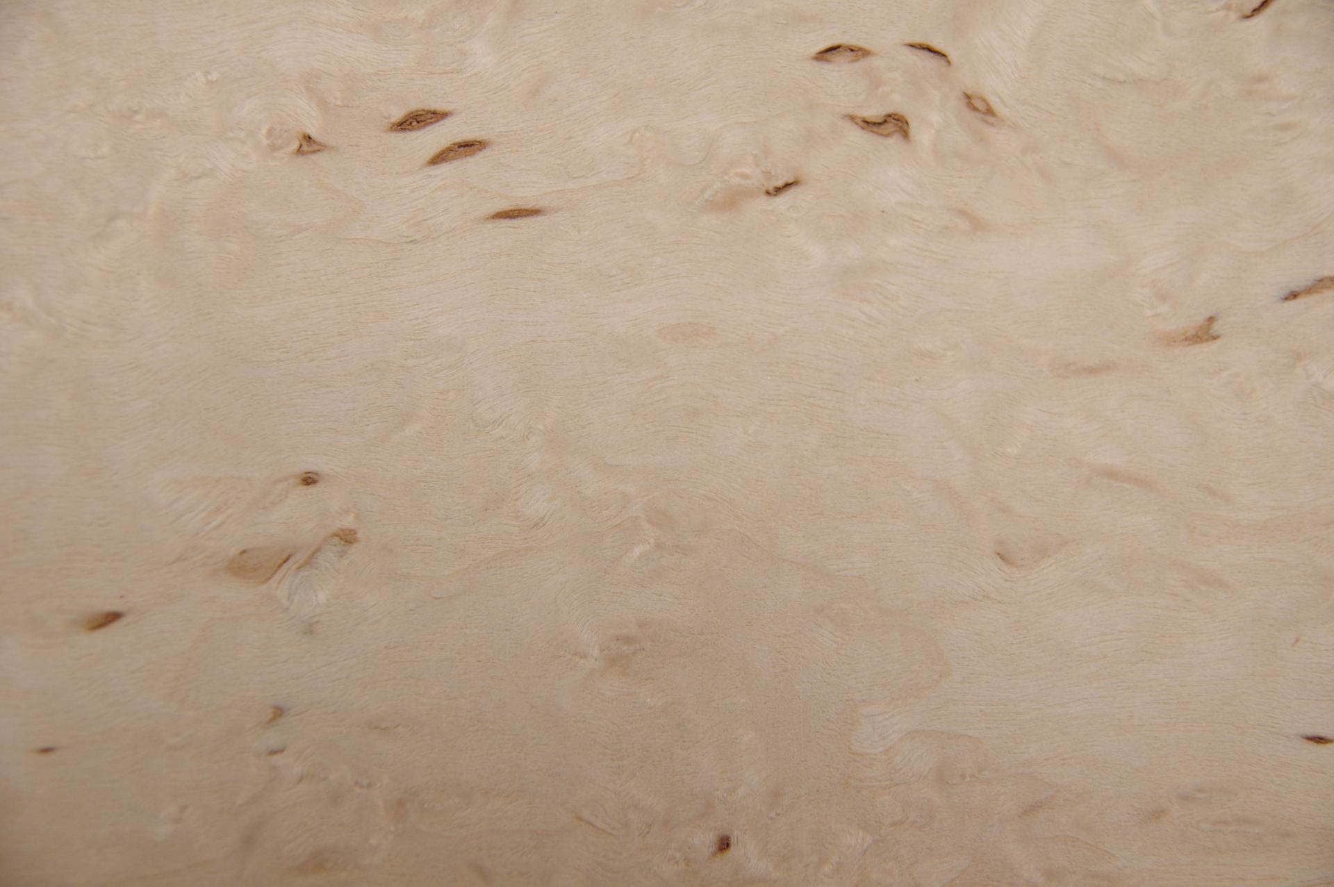 Birke Maser -Furnier (0,6mm) - 0,21m² (9Stk. x 29cm x 8cm)