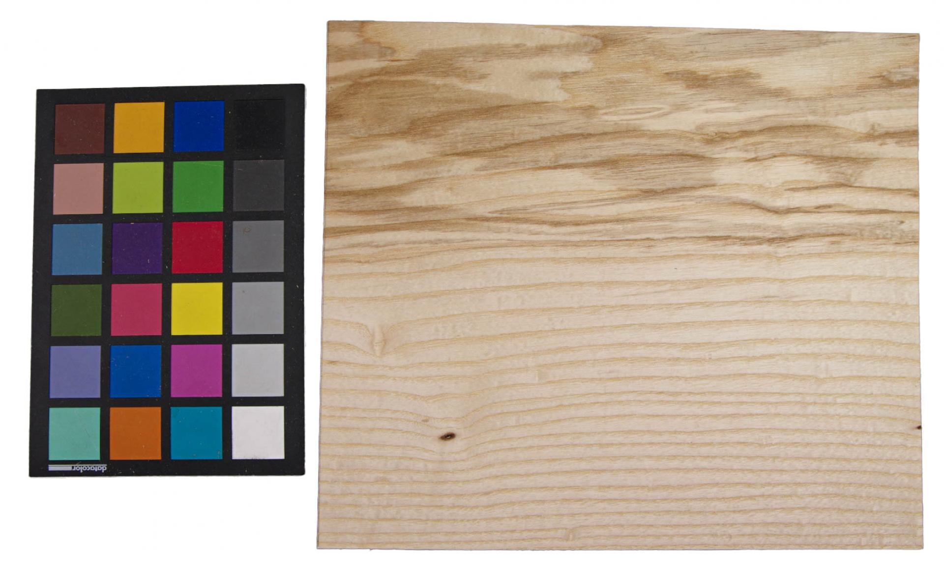 Olive Ash, veneer with Colour reference card