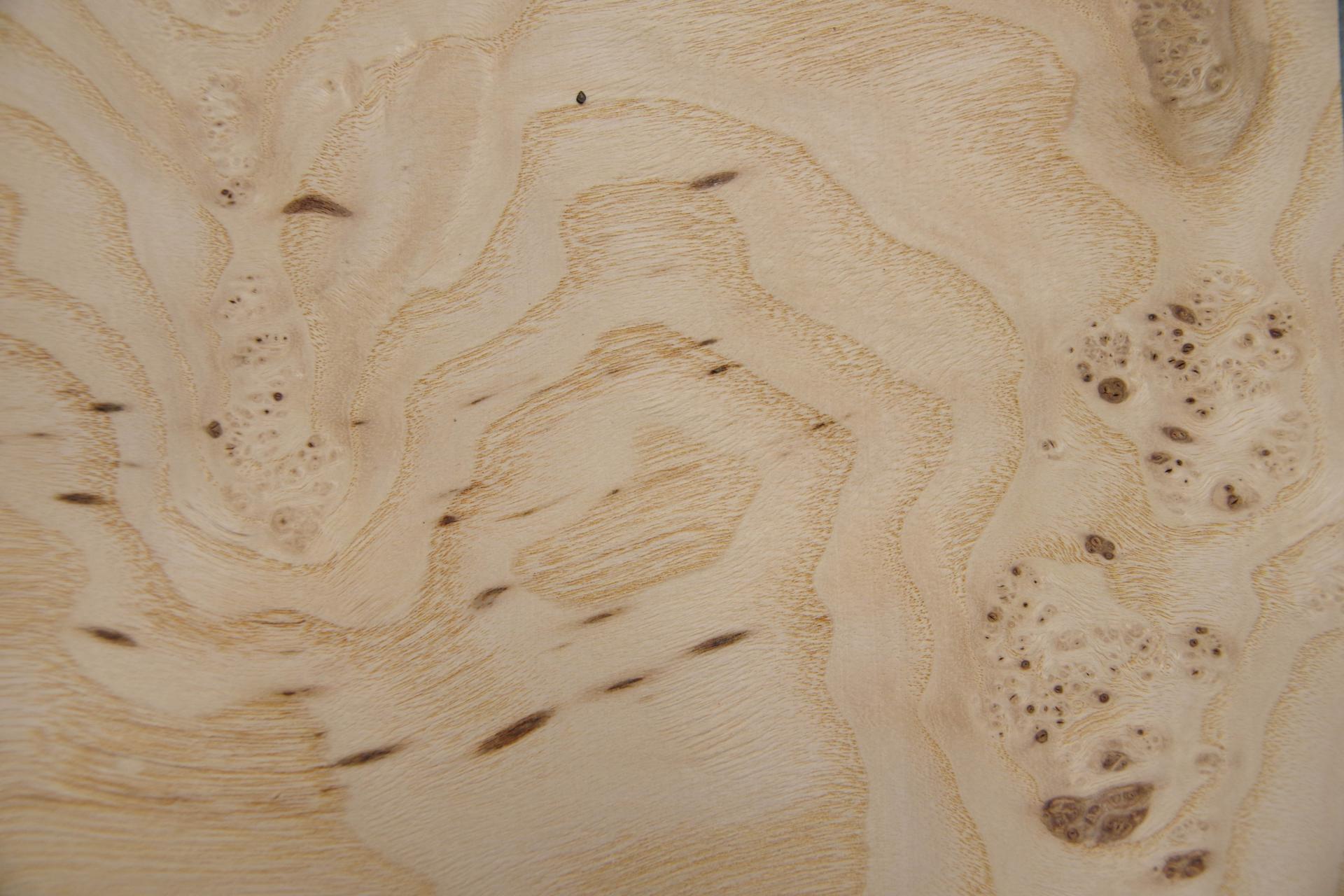 Olive Ash Burl, - veneer (0,6mm) - 0,6m² (10pcs. x 30cm x 20cm)