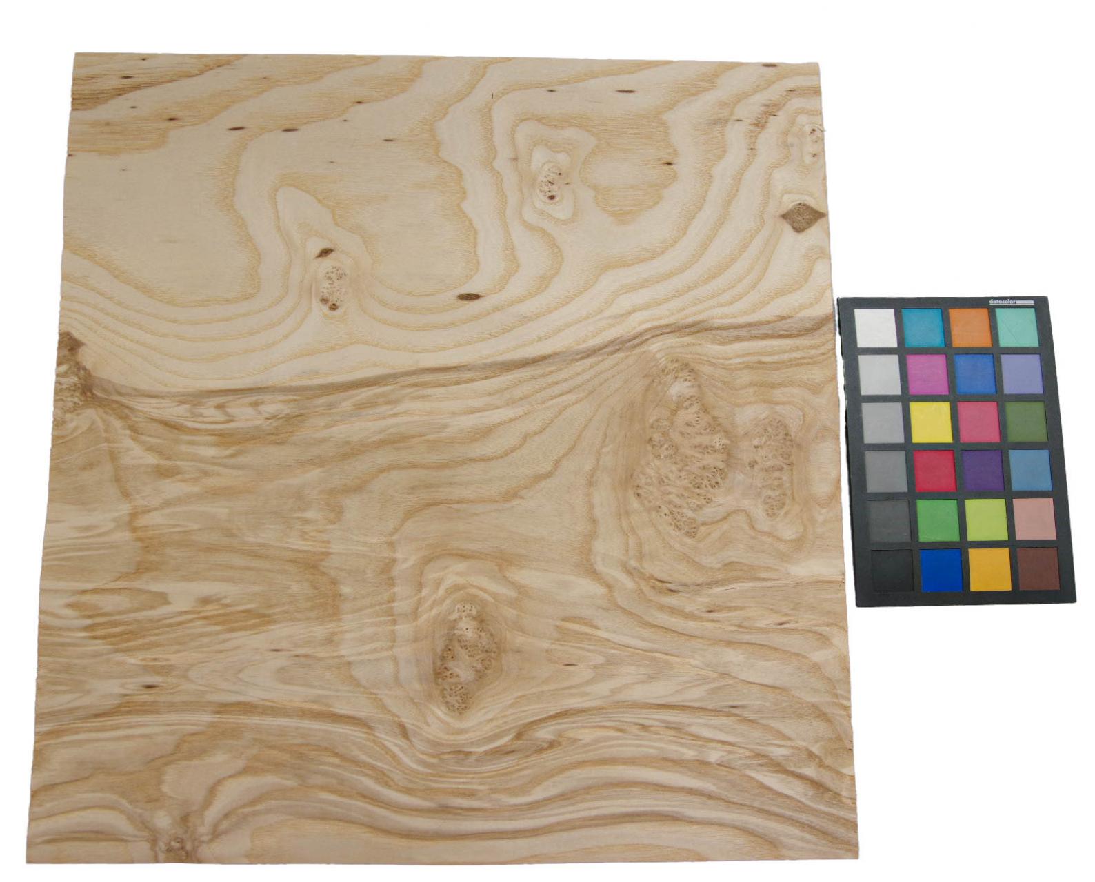 Olive Ash Burl, - veneer (0,6mm) - 1,2m² (5pcs. x 48cm x 50cm)