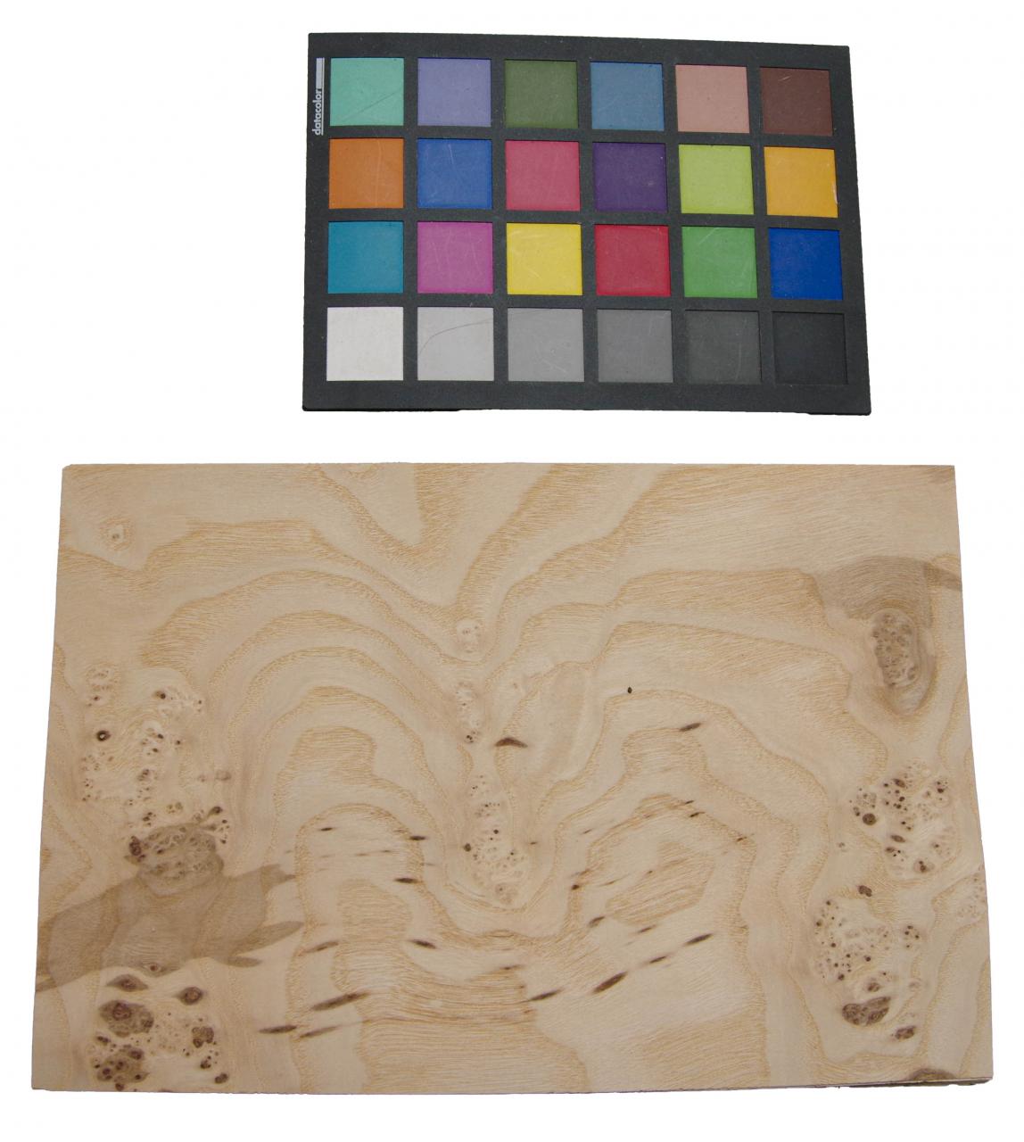 Olive Ash Burl, - veneer (0,6mm) - 0,6m² (10pcs. x 30cm x 20cm)