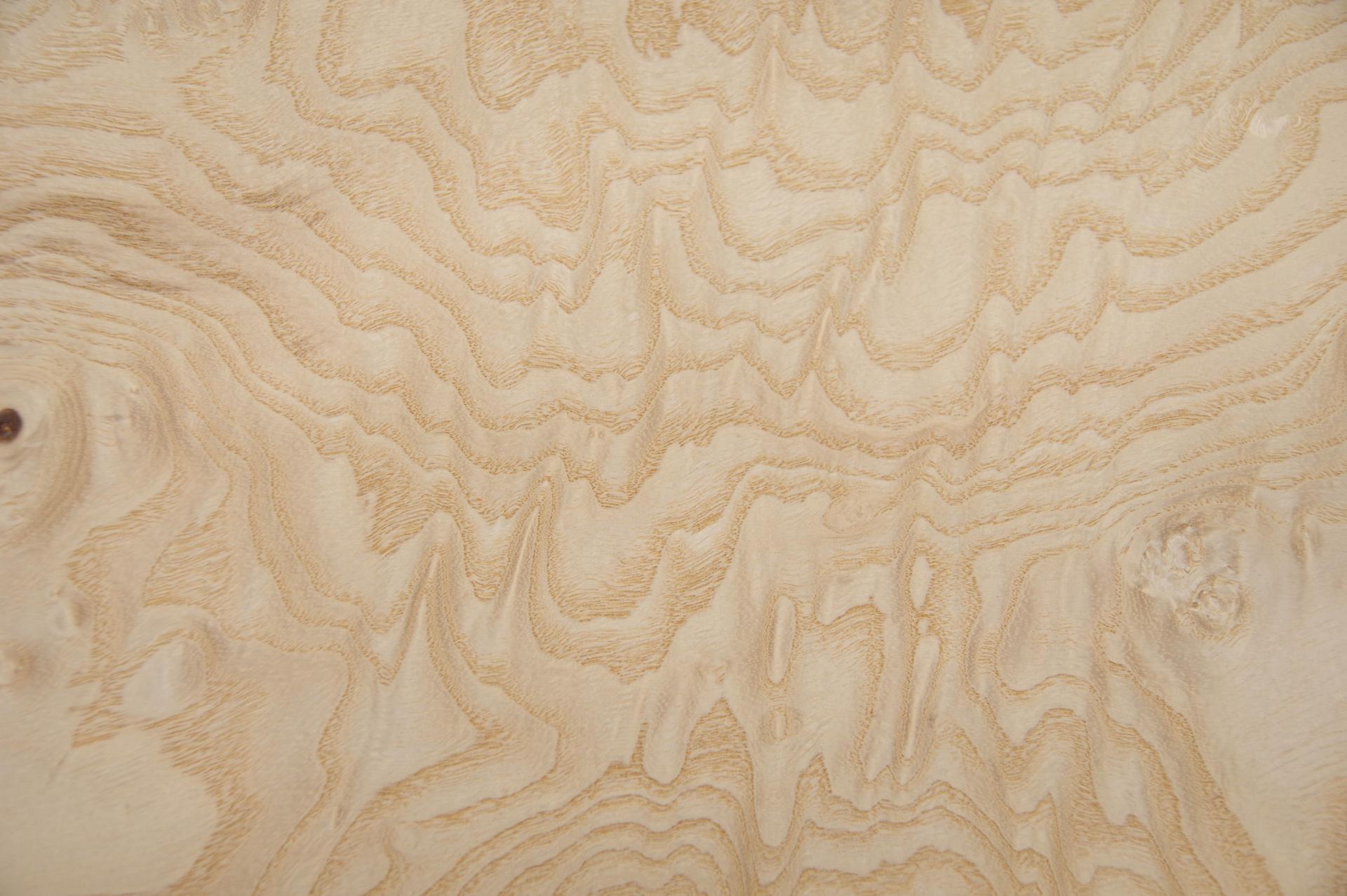 White Ash Burl, - veneer (0,6mm) - 2,06m² (22pcs. x 52cm x 18cm)