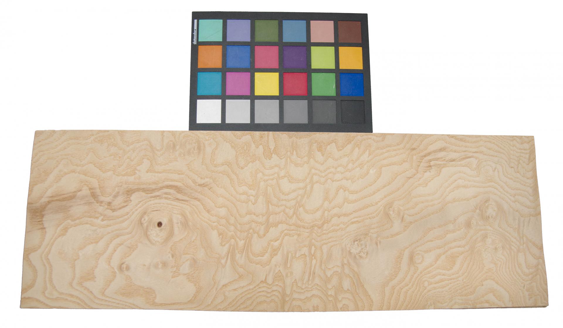 White Ash Burl, - veneer (0,6mm) - 2,06m² (22pcs. x 52cm x 18cm)