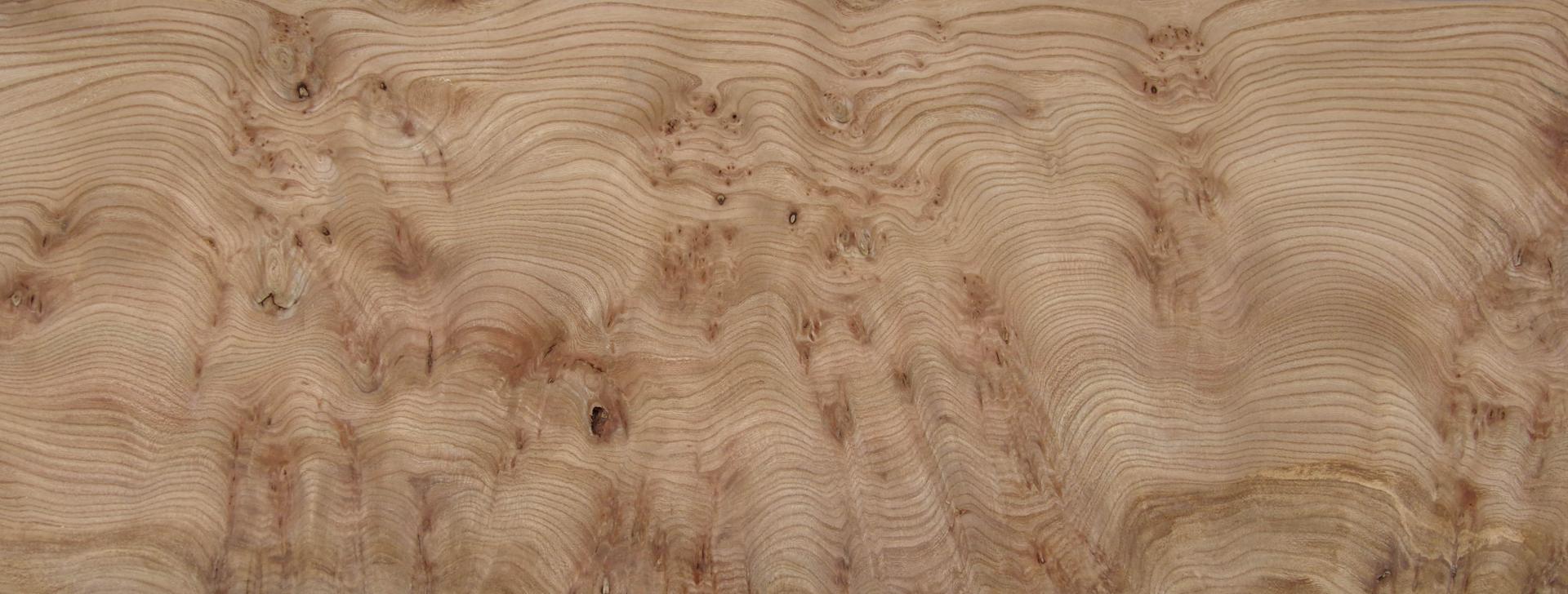 Elm partial Burl, - veneer (0,6mm) - 4,41m² (21pcs. x 75cm x 28cm)