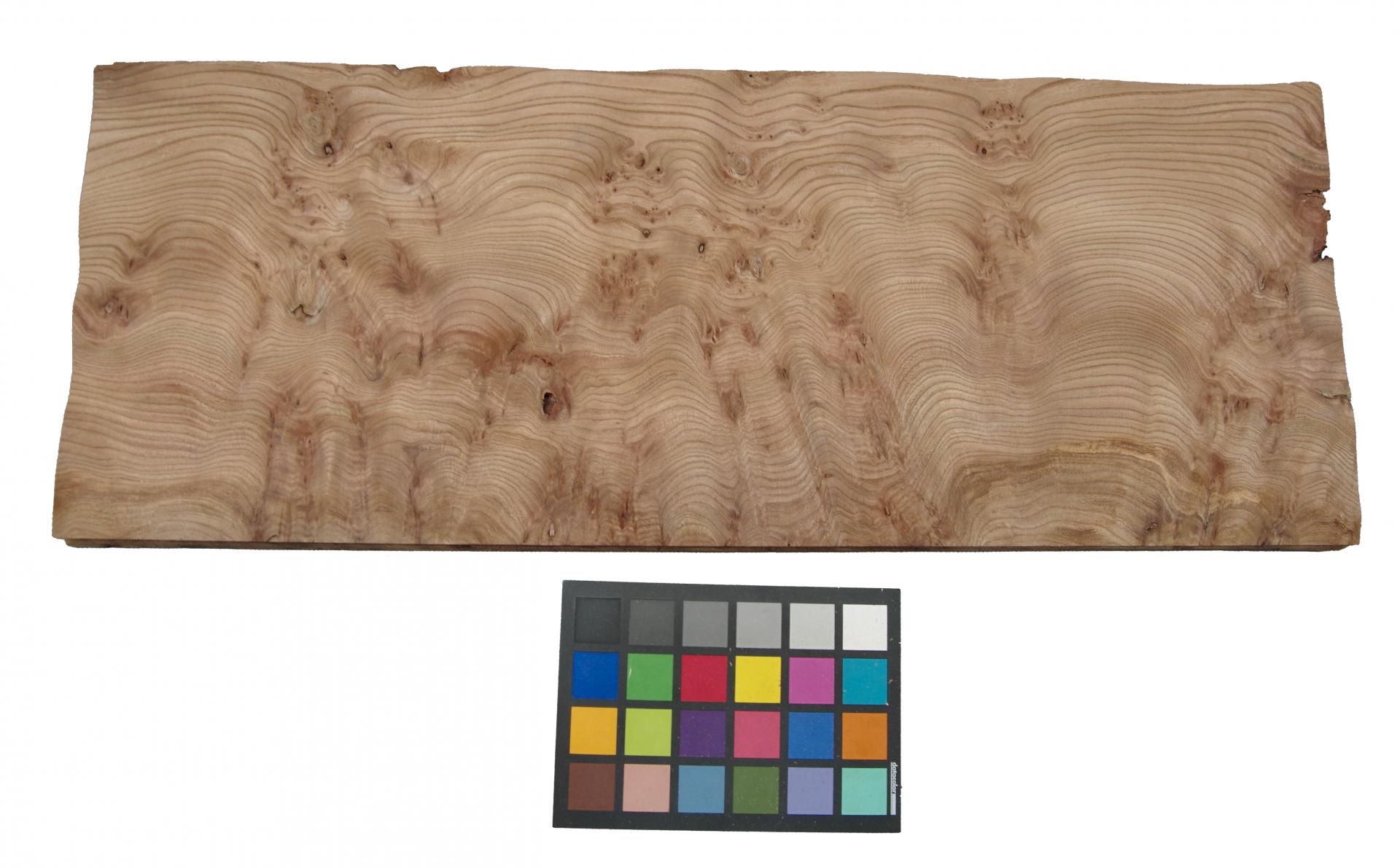 Elm partial Burl, - veneer (0,6mm) - 4,41m² (21pcs. x 75cm x 28cm)