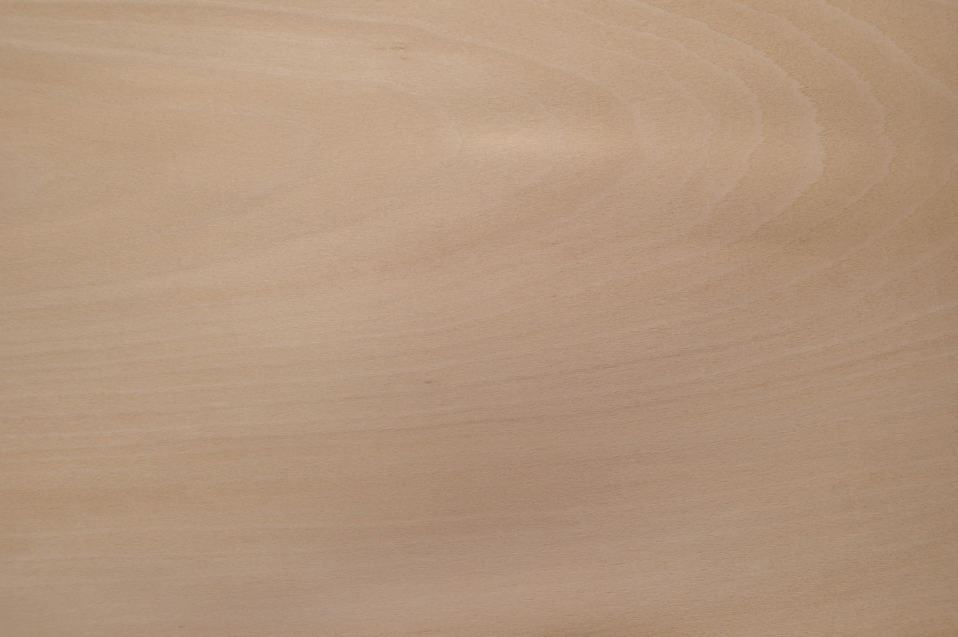 0.6mm Platane Furnier 2.99m² F 9 107 31