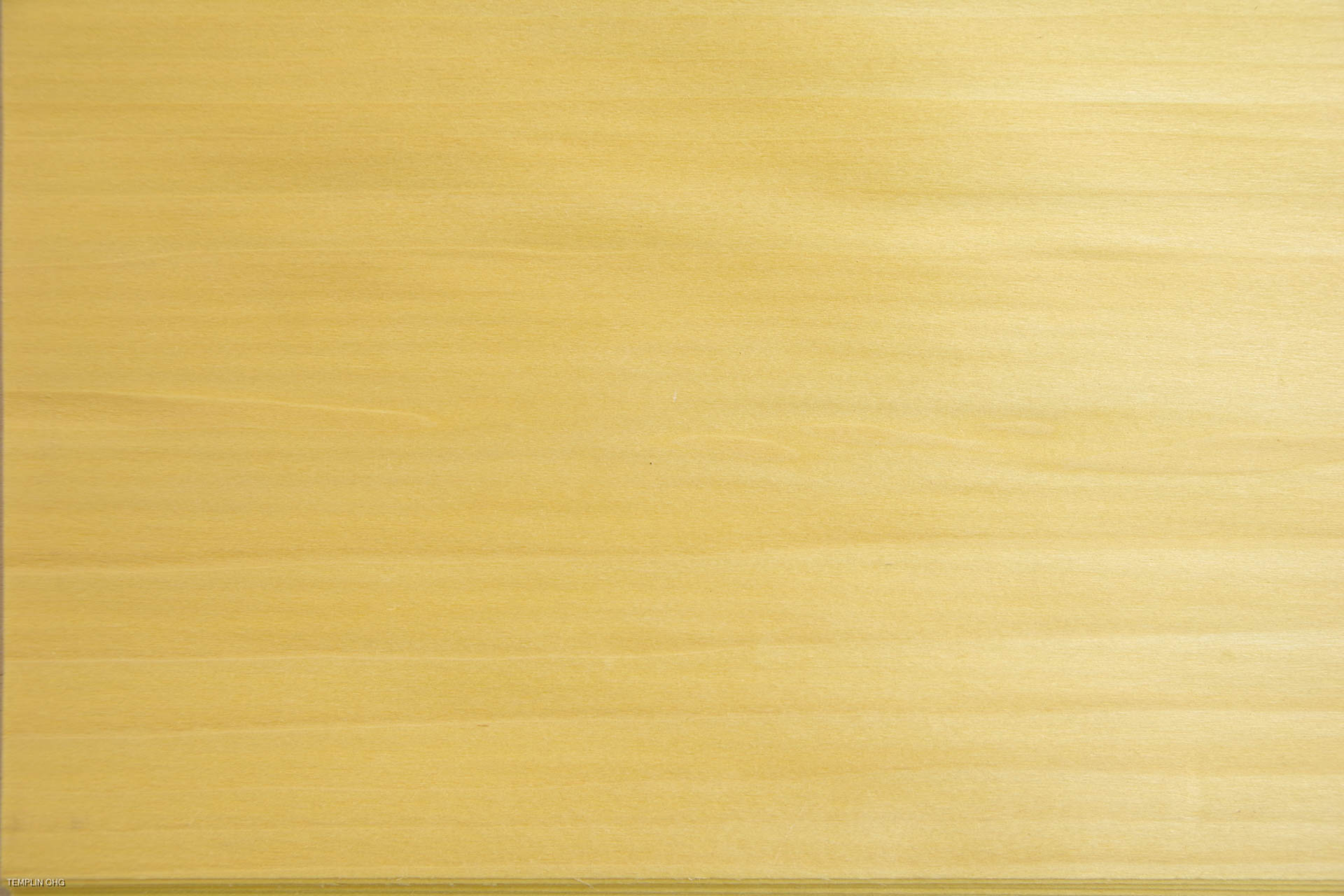 0,6mm Tulpenbaum gelb gefärbtes Furnier 0,33m² G 6 29 19