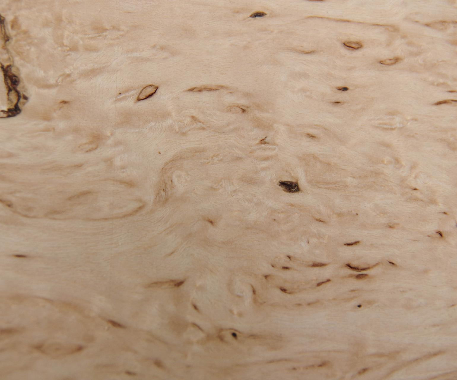 Birke Maser -Furnier (0,6mm) - 0,12m² (19Stk. x 8cm x 8cm)