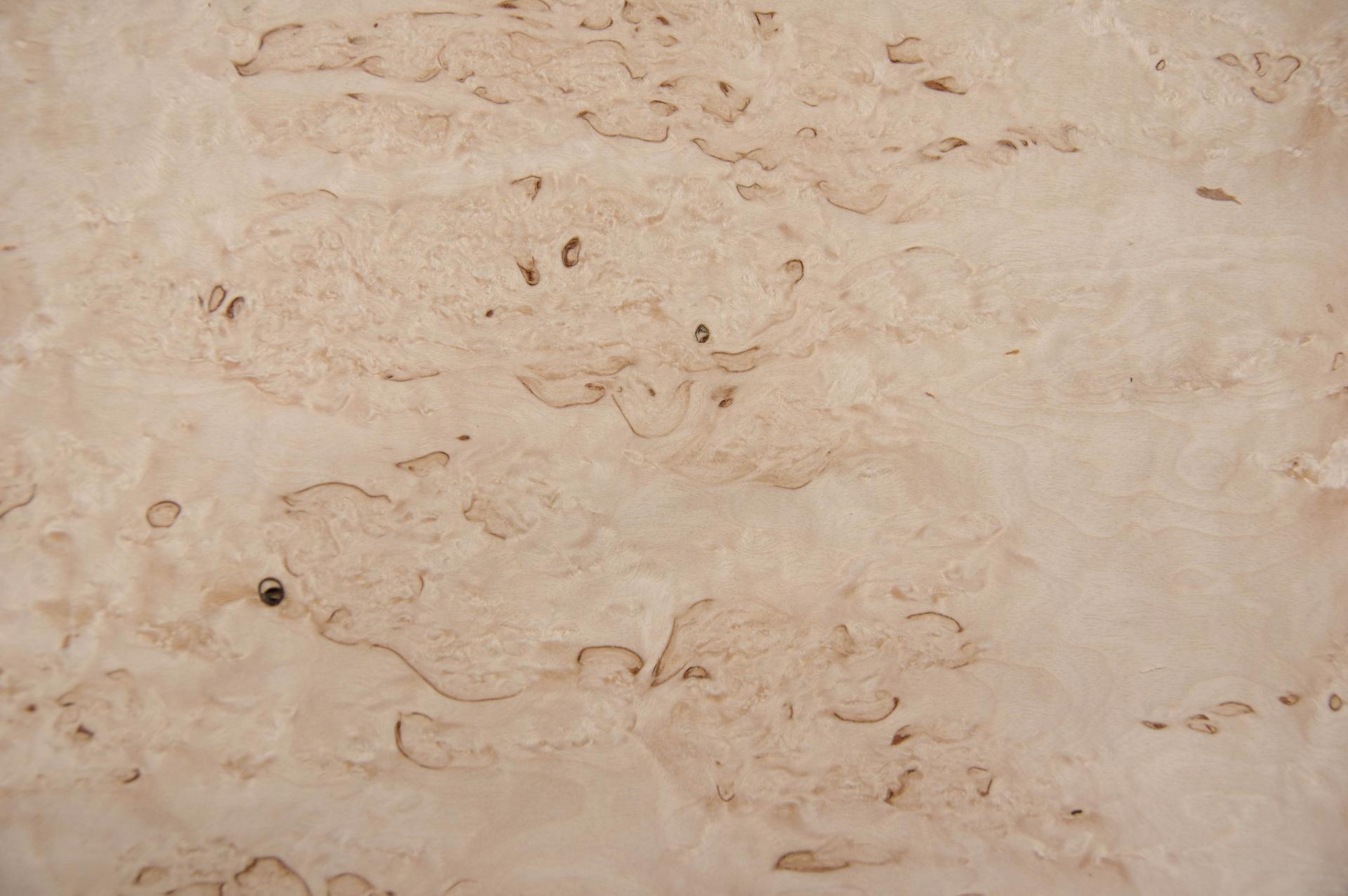 Birke Maser -Furnier (0,6mm) - 0,35m² (4Stk. x 48cm x 18cm)