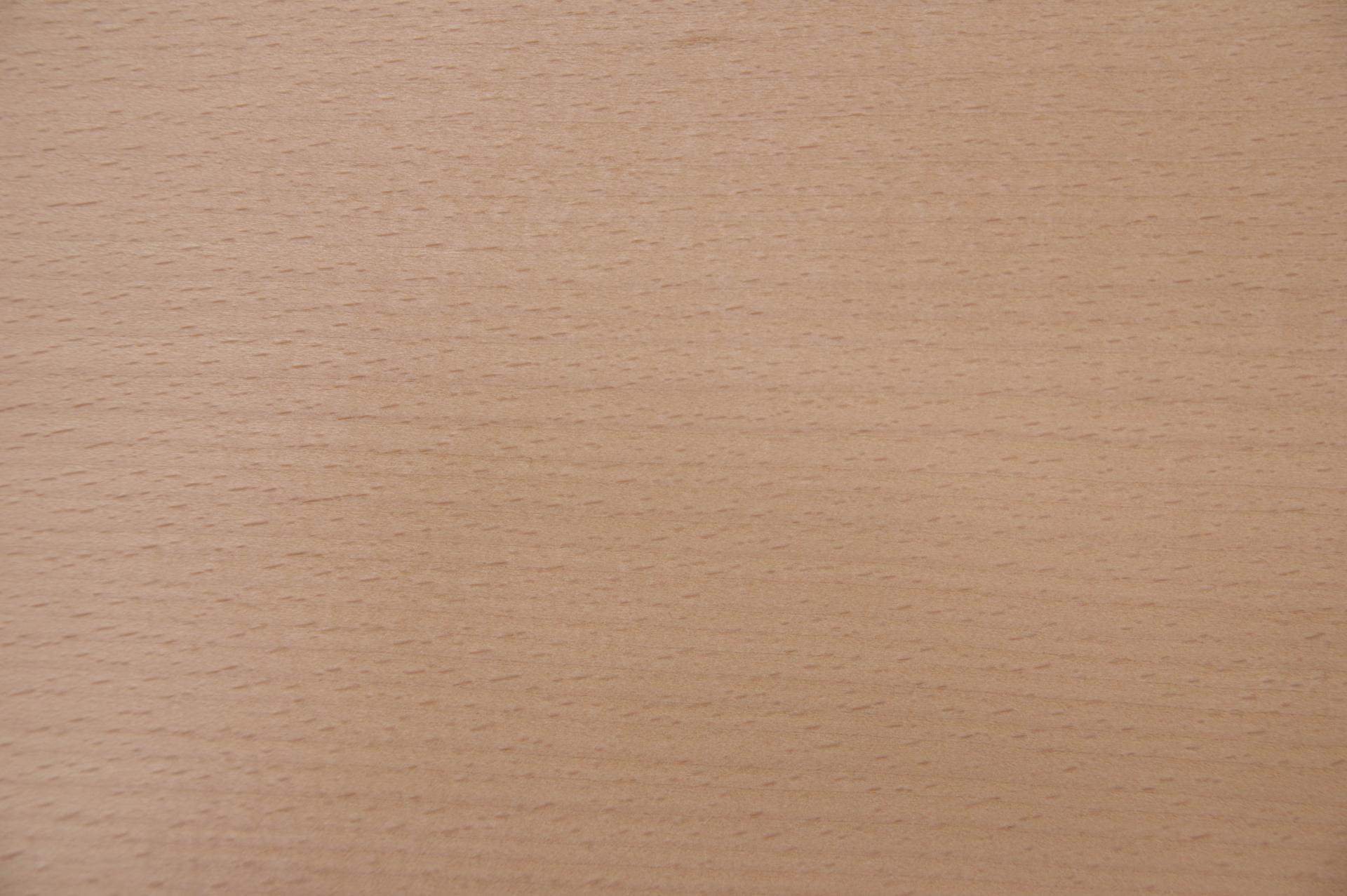 Beech, - veneer (0,6mm) - 0,84m² (22pcs. x 24cm x 16cm)