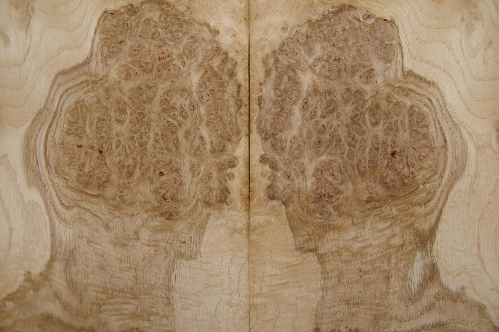 Oak Burl (Roseoak), - veneer (0,6mm) - 1,2m² (15pcs. x 42cm x 19cm)