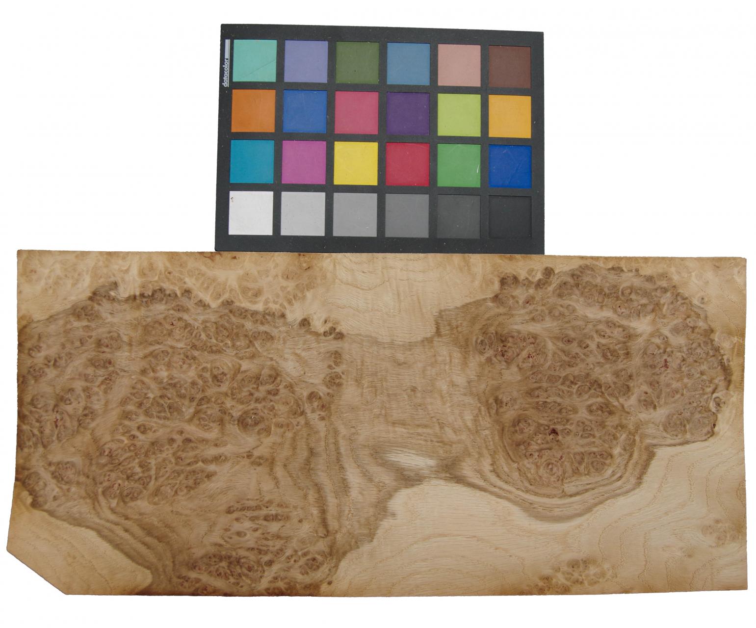 Oak Burl (Roseoak), - veneer (0,6mm) - 1,2m² (15pcs. x 42cm x 19cm)