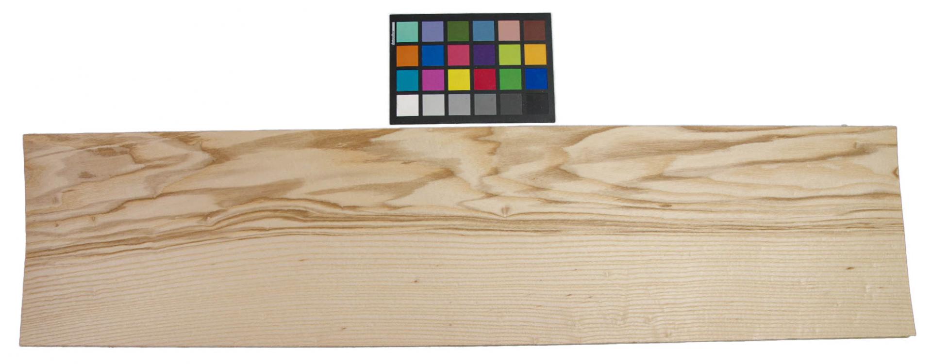 Olive Ash, veneer with Colour reference card