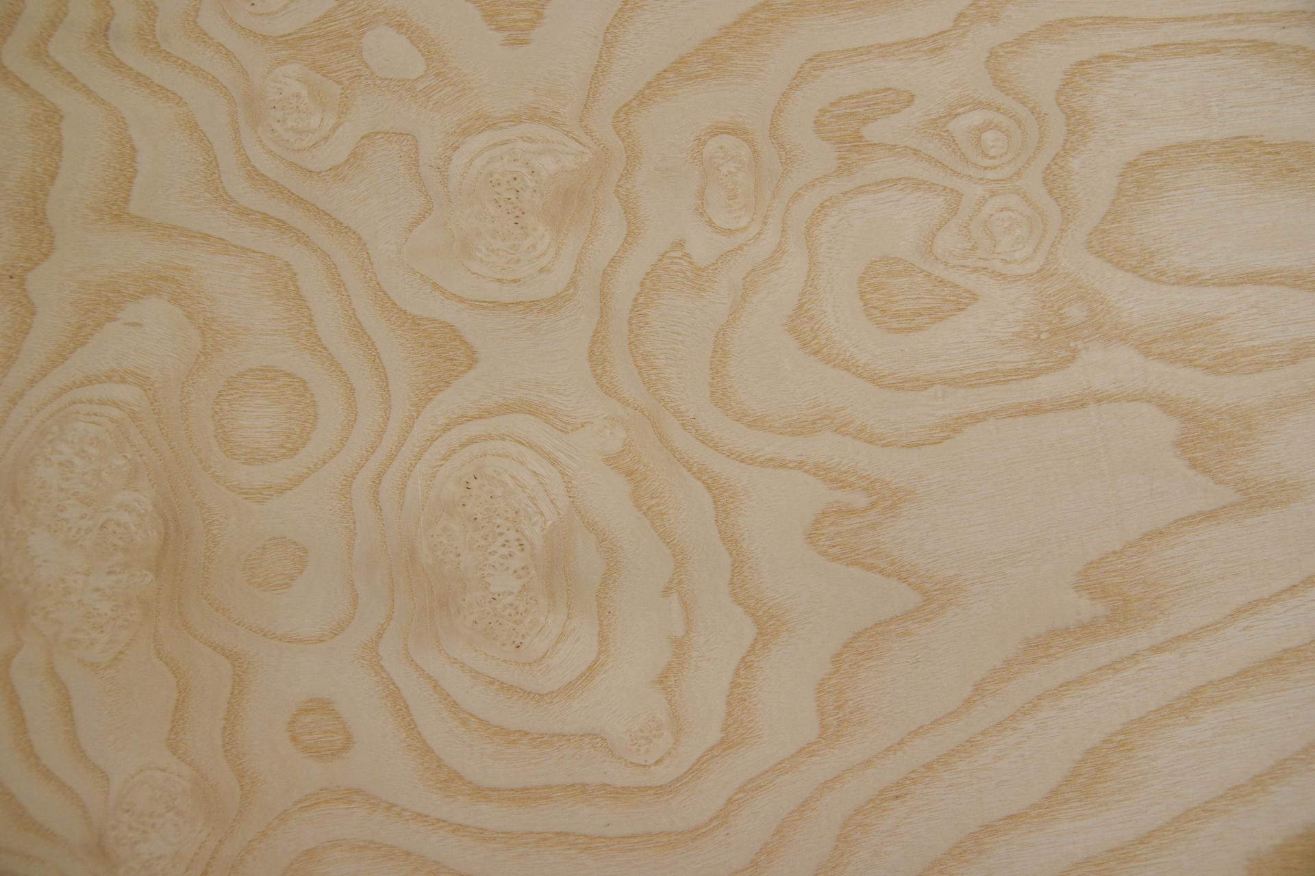 White Ash Burl, - veneer (0,6mm) - 7,93m² (14pcs. x 169cm x 33,5cm)