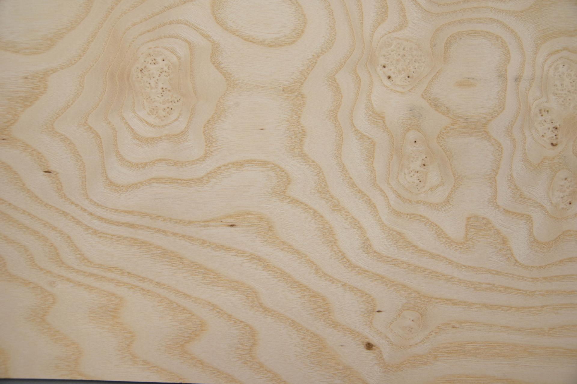 Esche Maser, weiß -Furnier (0,6mm) - 1,61m² (6Stk. x 103cm x 26cm)