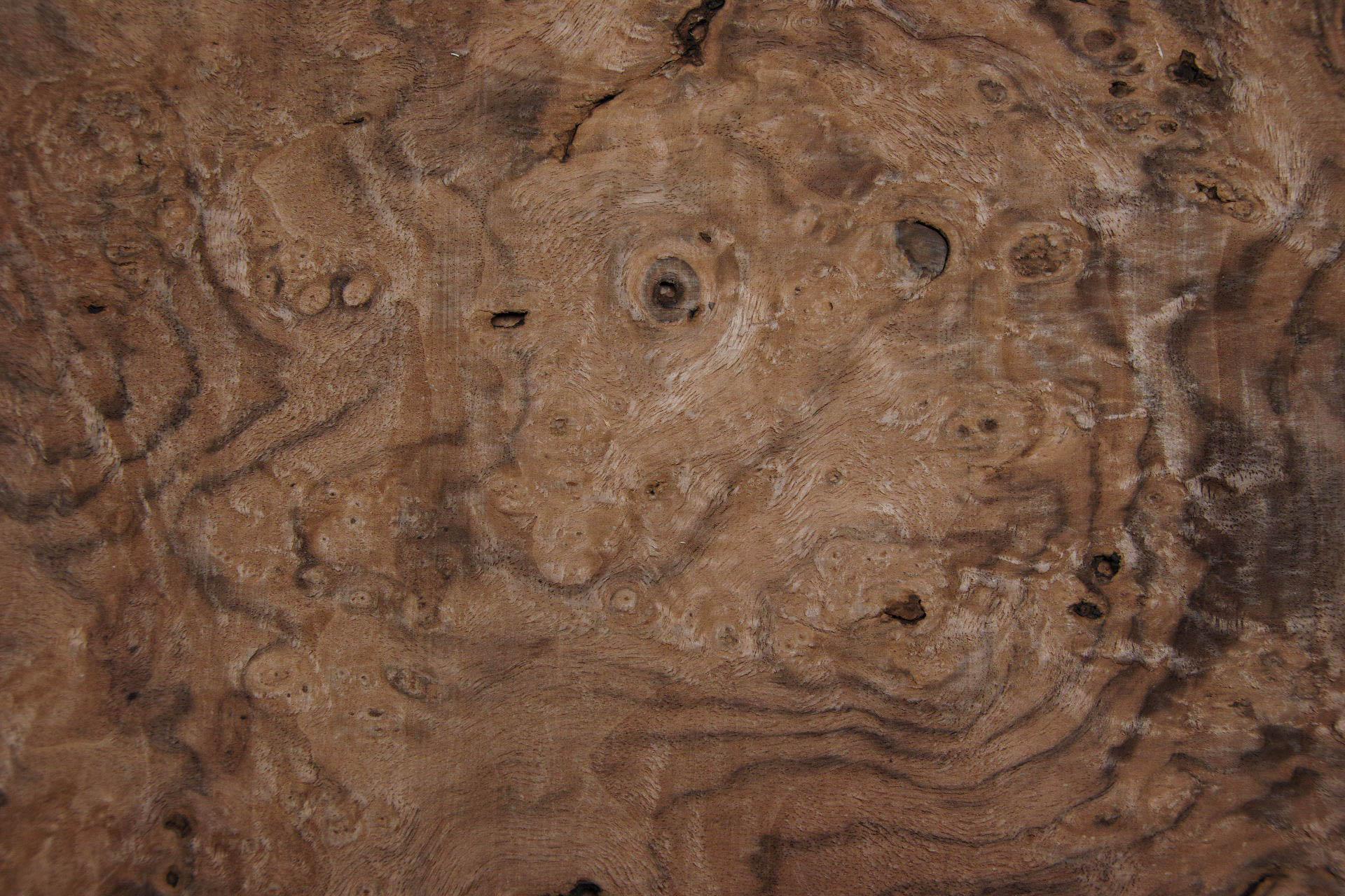 Californian Walnut Burl, - veneer (1,8mm) - 0,83m² (13pcs. x 32cm x 20cm)