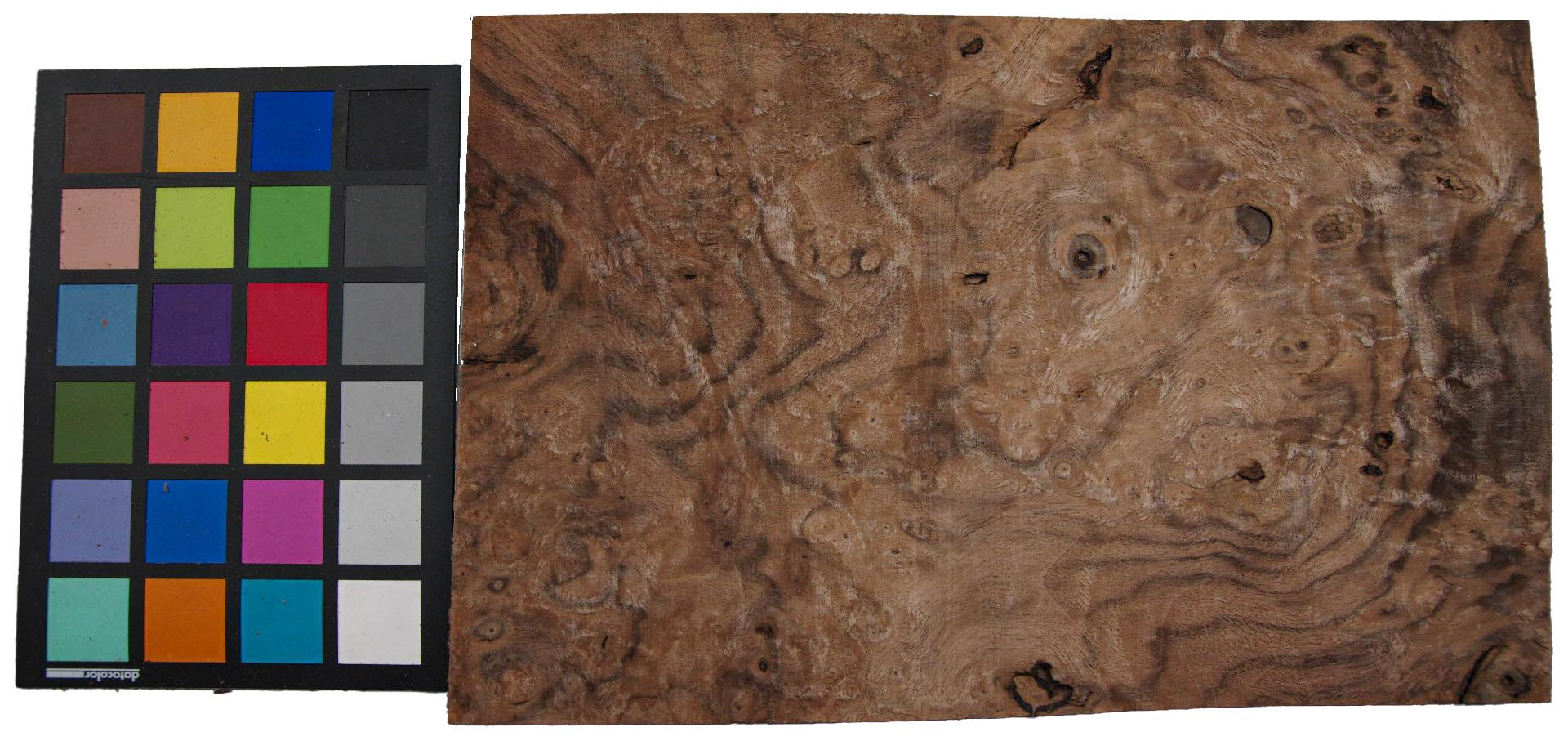 Californian Walnut Burl, - veneer (1,8mm) - 0,83m² (13pcs. x 32cm x 20cm)