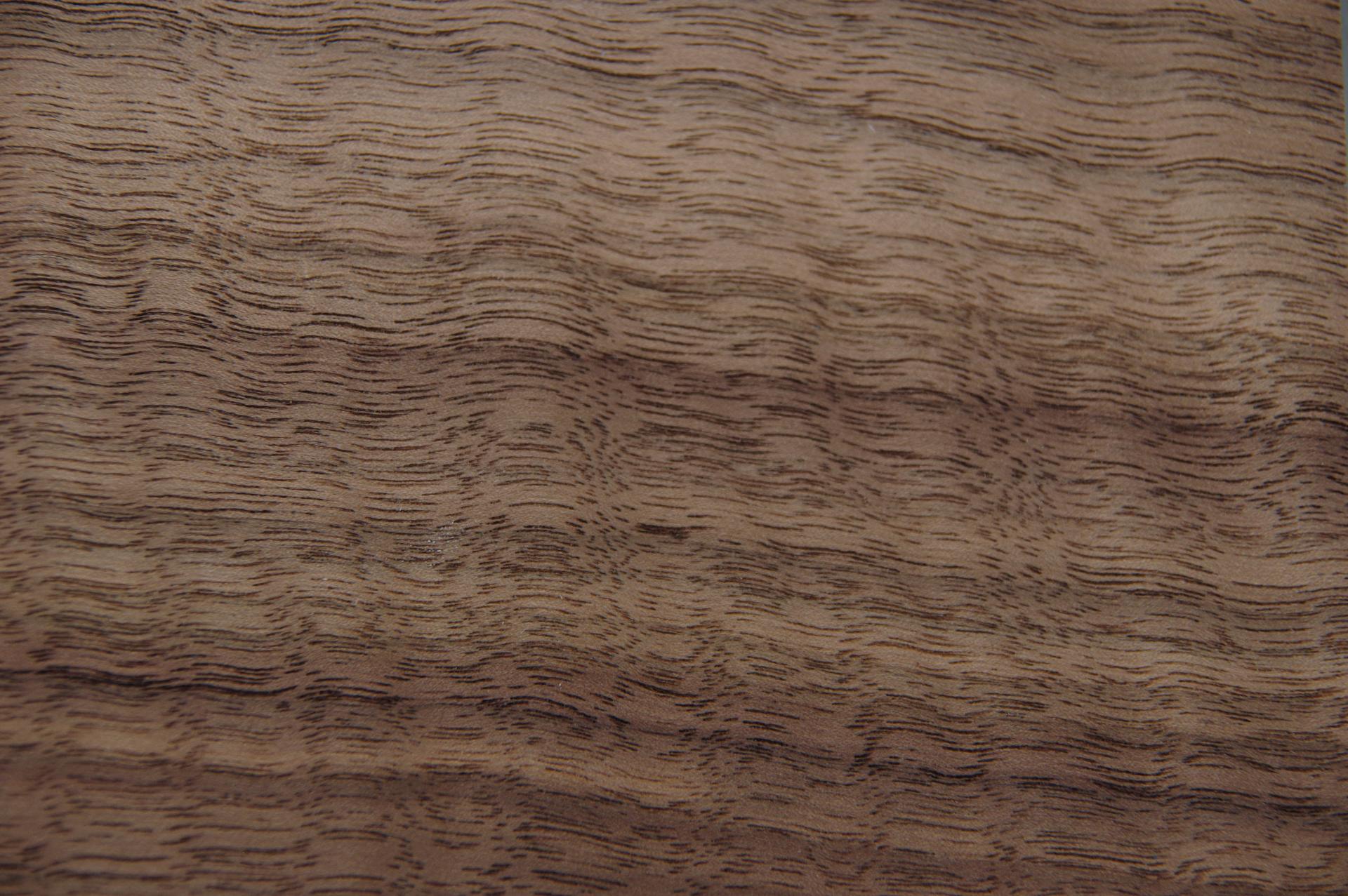 American Black Walnut, - veneer (0,6mm) - 0,43m² (30pcs. x 12cm x 12cm)