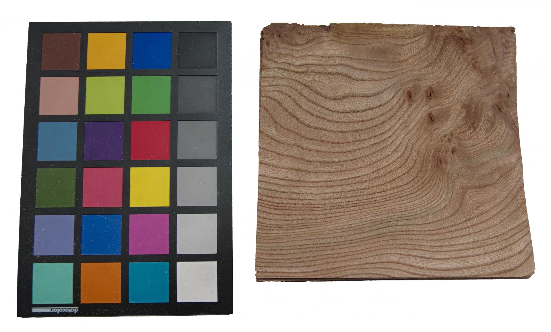 Rüster (Ulme) Halbmaser -Furnier (0,6mm) - 0,41m² (15Stk. x 17cm x 16cm)