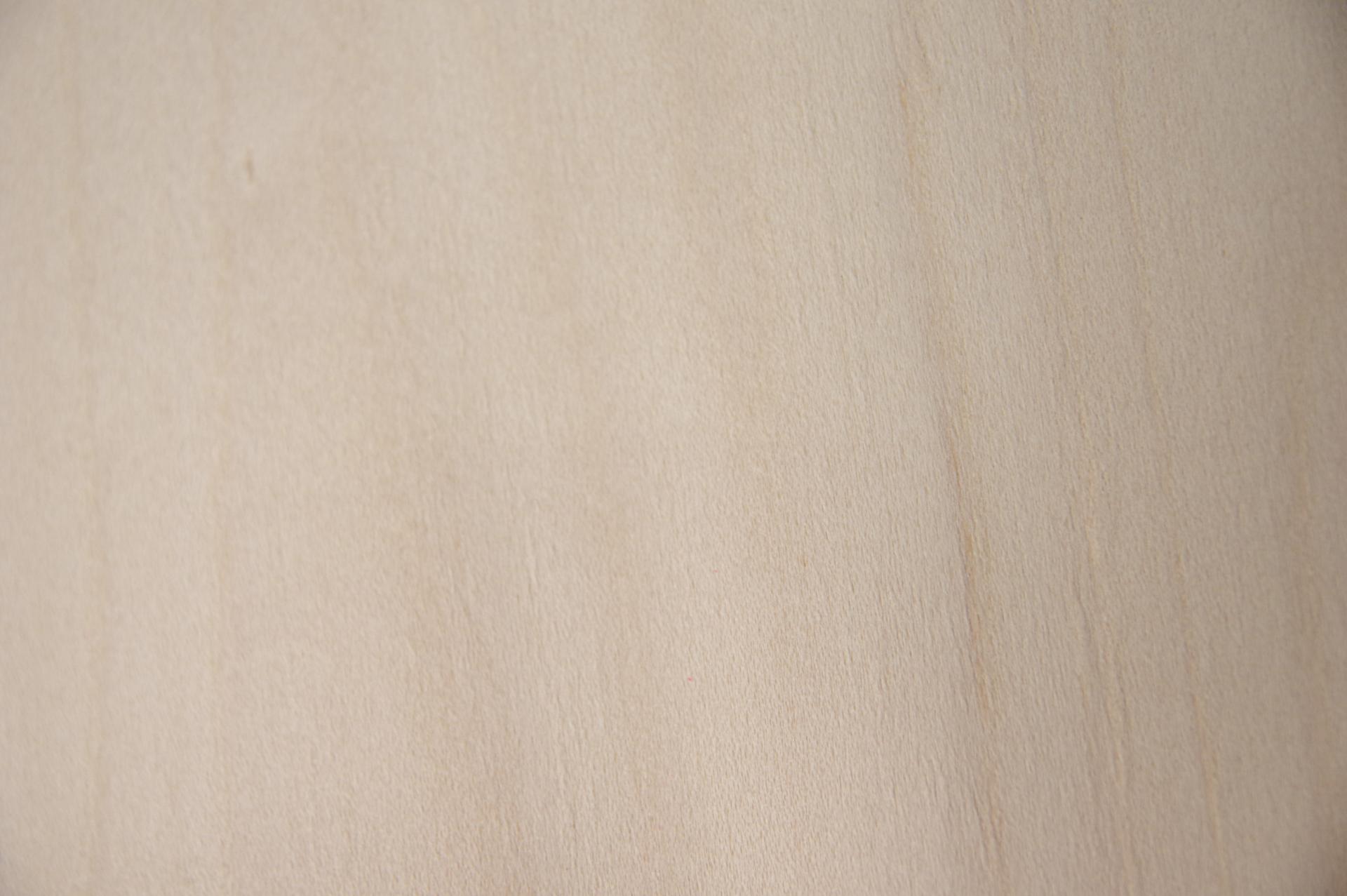 Ahorn, europäischer -Furnier (0,6mm) - 0,5m² (24Stk. x 23cm x 9cm)