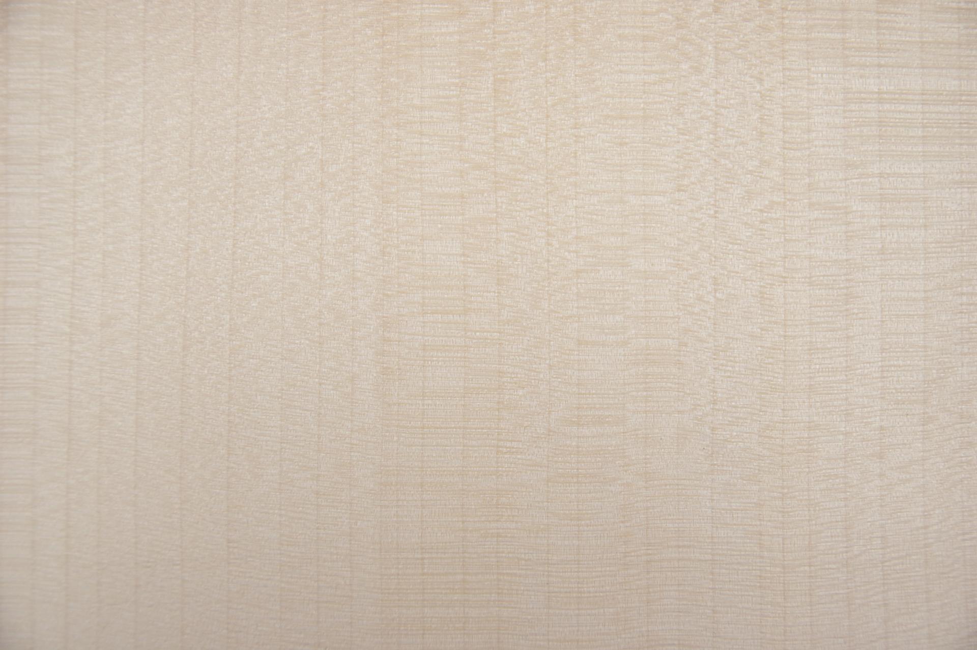 Ahorn, europäischer -Furnier (0,6mm) - 0,57m² (30Stk. x 10cm x 19cm)