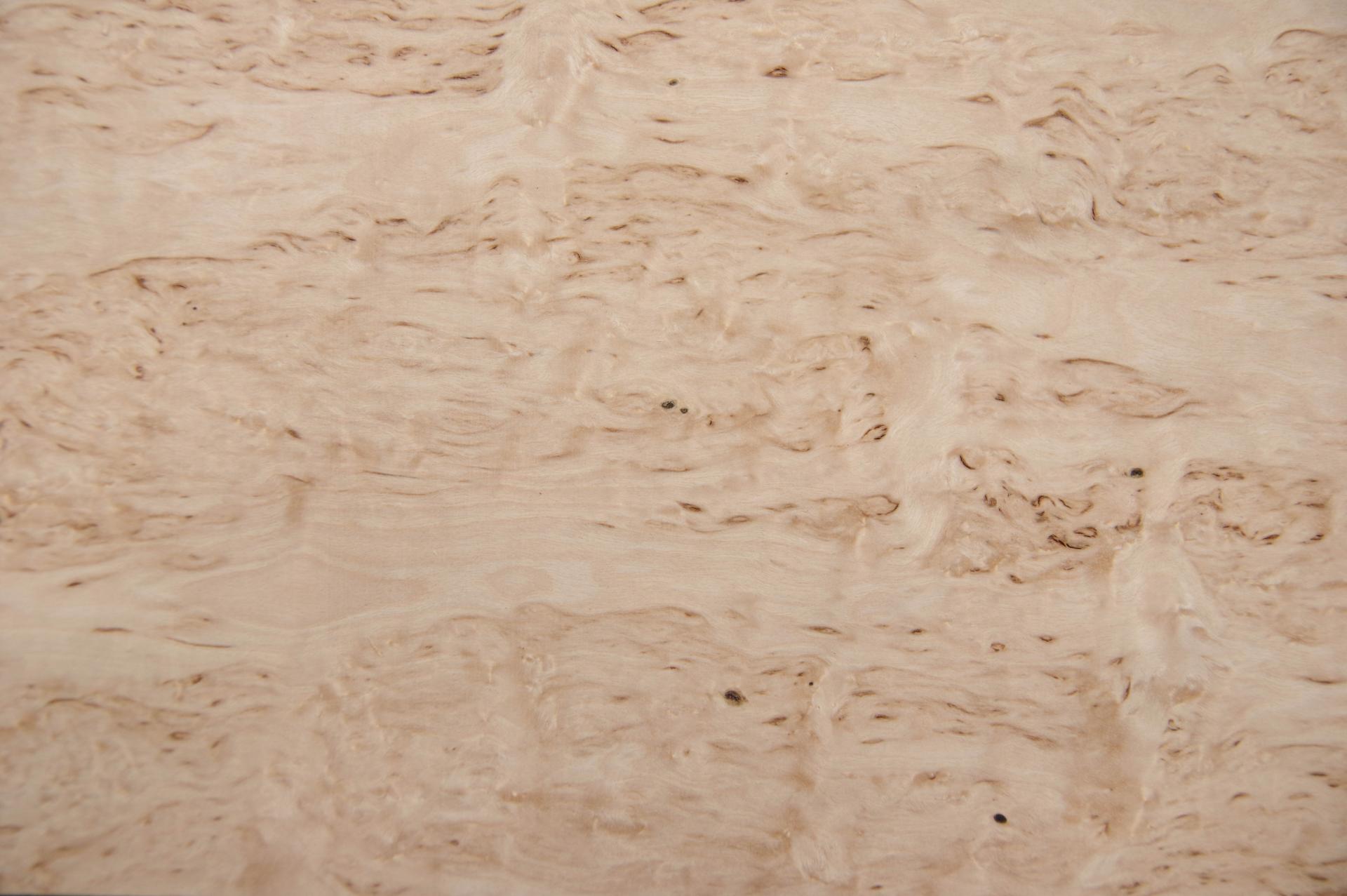 Birke Maser -Furnier (0,6mm) - 0,8m² (19Stk. x 28cm x 15cm)