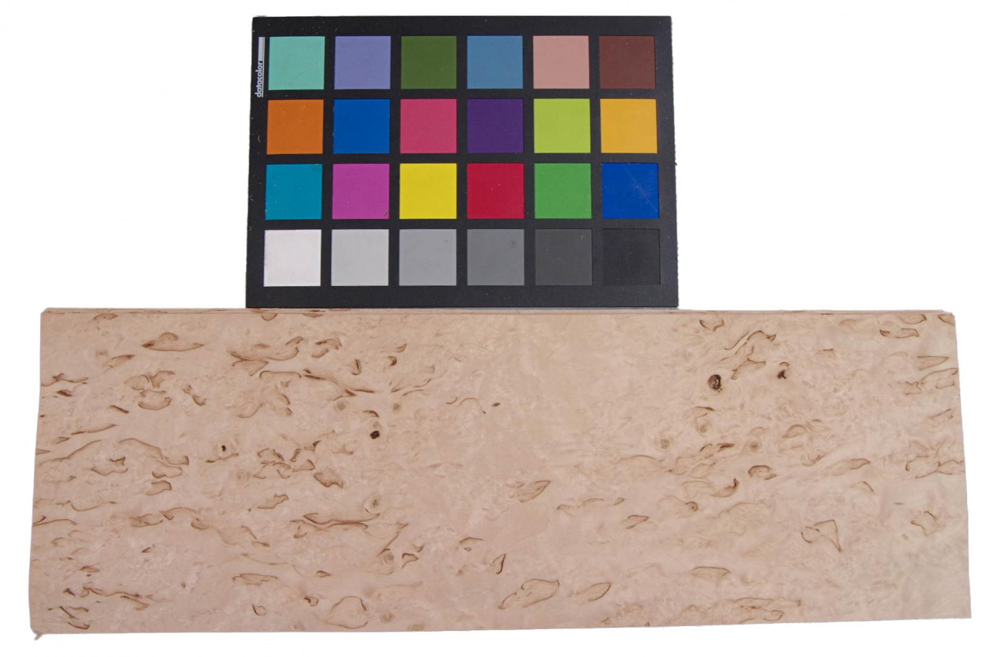 Birke Maser Furnier mit Farbreferenz-Karte