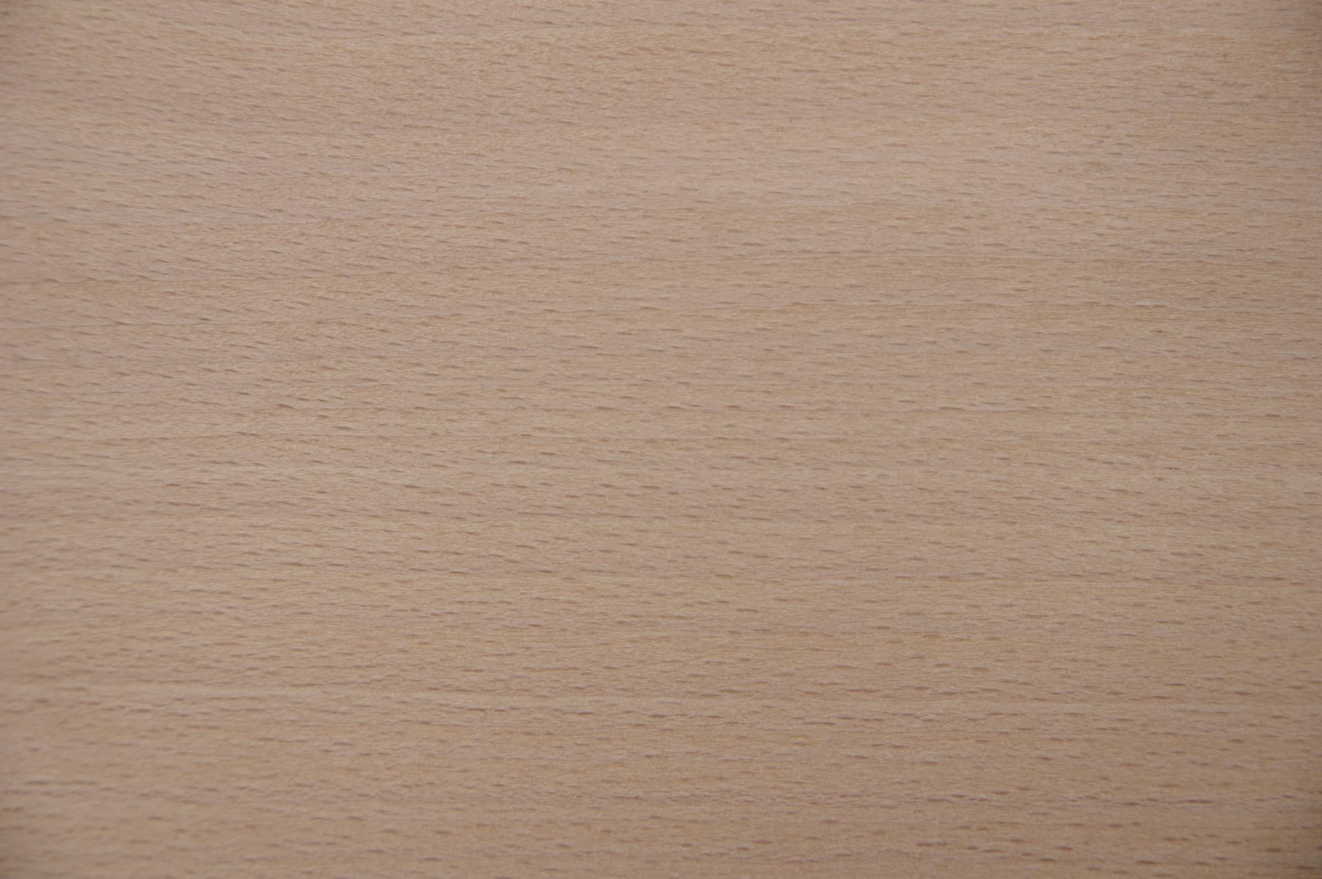 Beech, - veneer (0,6mm) - 1,37m² (24pcs. x 57cm x 10cm)