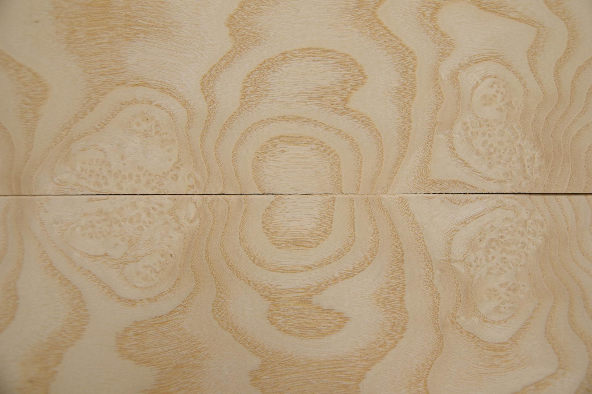 Esche Maser, weiß -Furnier (0,6mm) - 0,4m² (5Stk. x 88cm x 9cm)