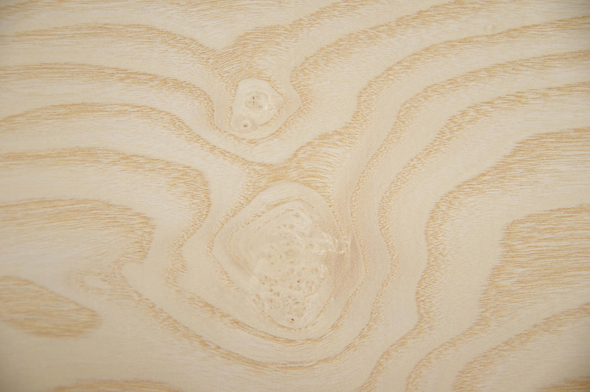 Esche Maser, weiß -Furnier (0,6mm) - 1,53m² (11Stk. x 93cm x 15cm)