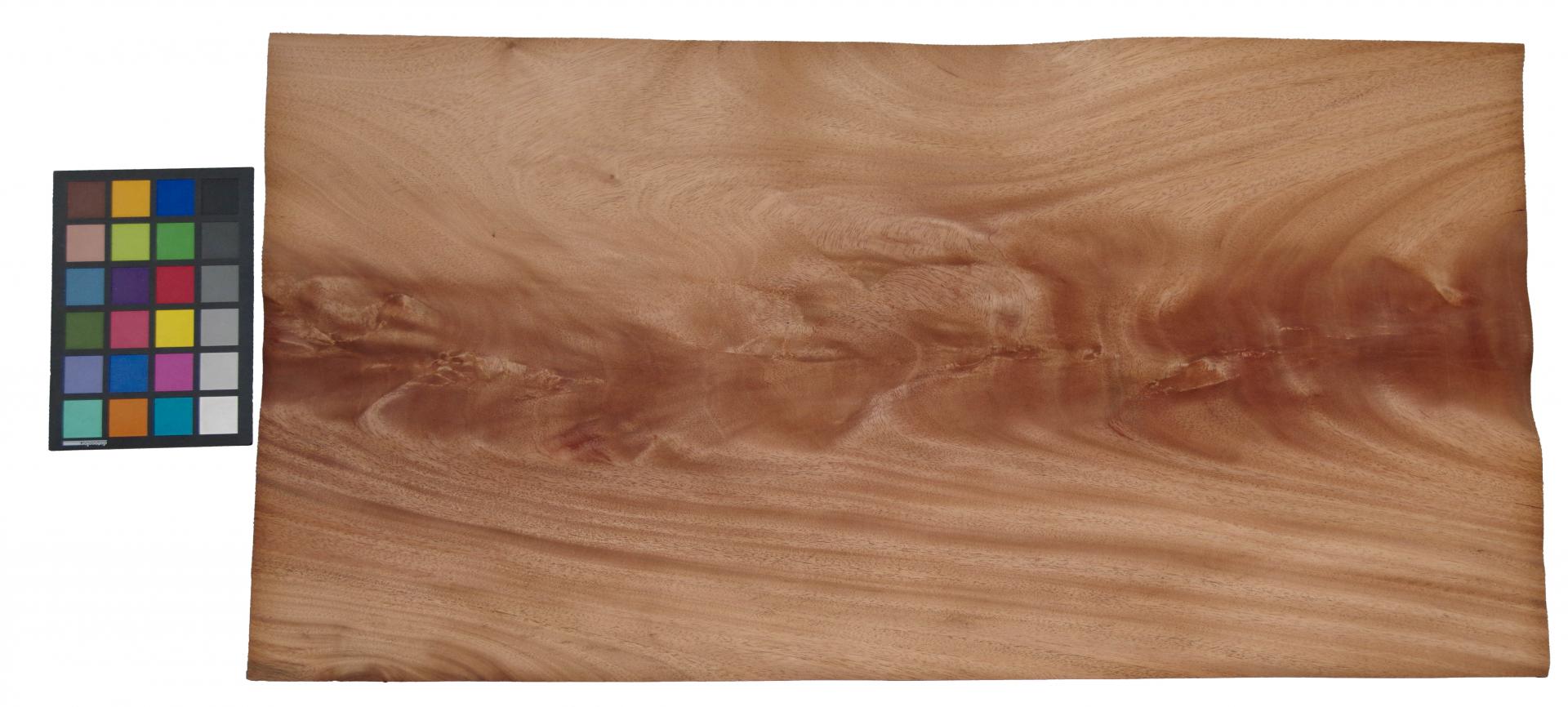 American Mahogany Crotch, - veneer (0,6mm) - 4,26m² (11pcs. x 88cm x 44cm)