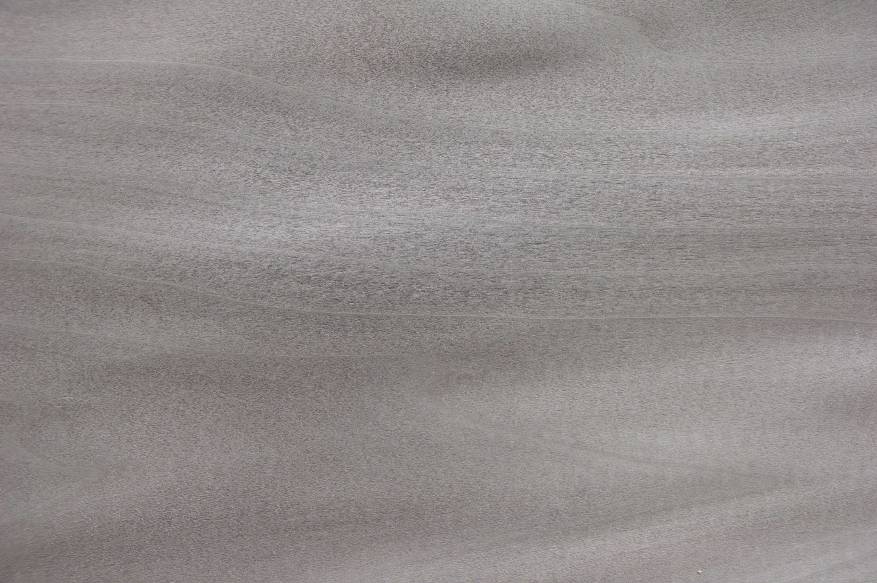 0,6mm Tulpenbaum silbergrau gefärbtes Furnier 2,16m² I 21 49 21