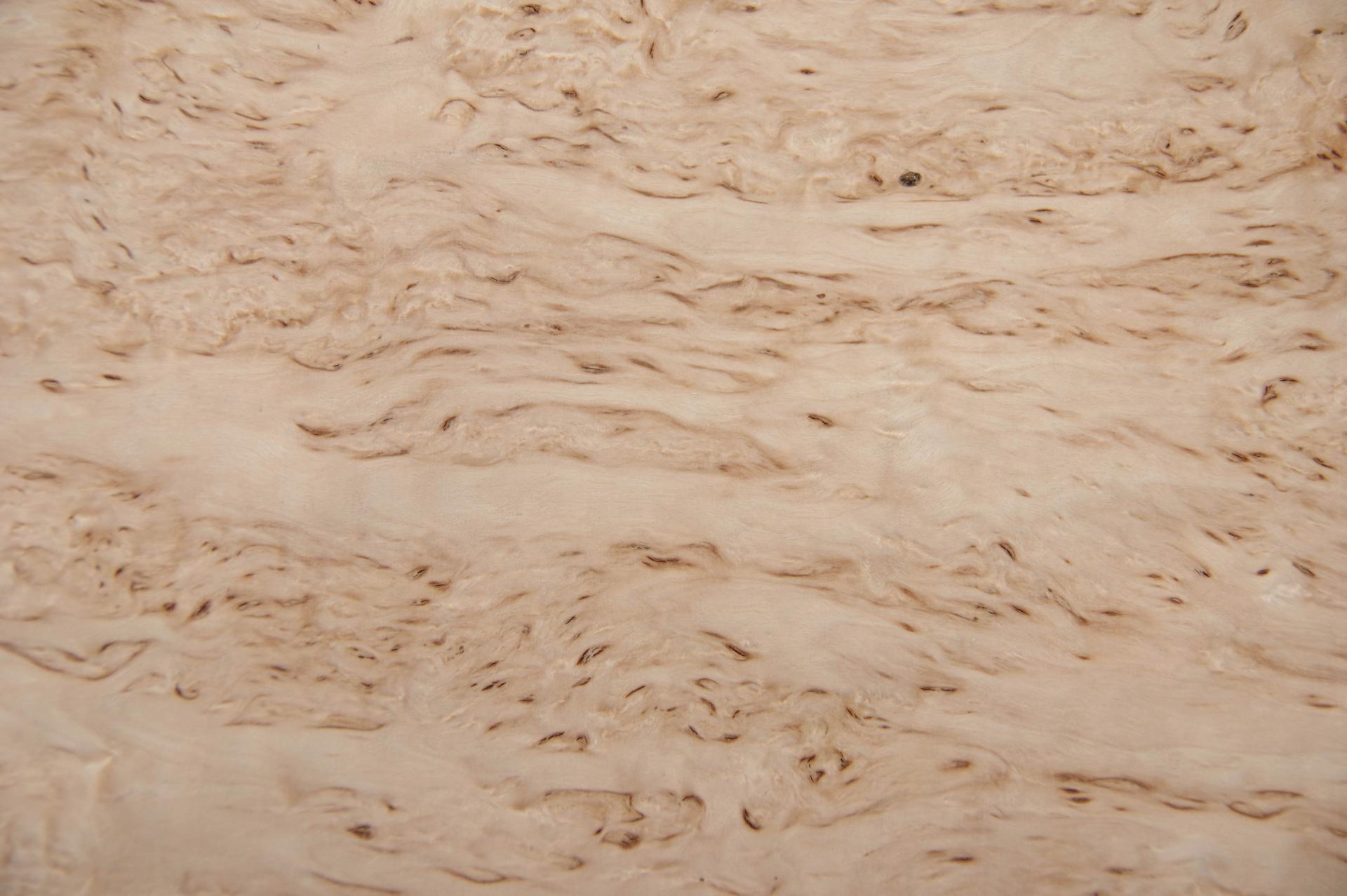 Birke Maser -Furnier (0,6mm) - 0,6m² (19Stk. x 21cm x 15cm)