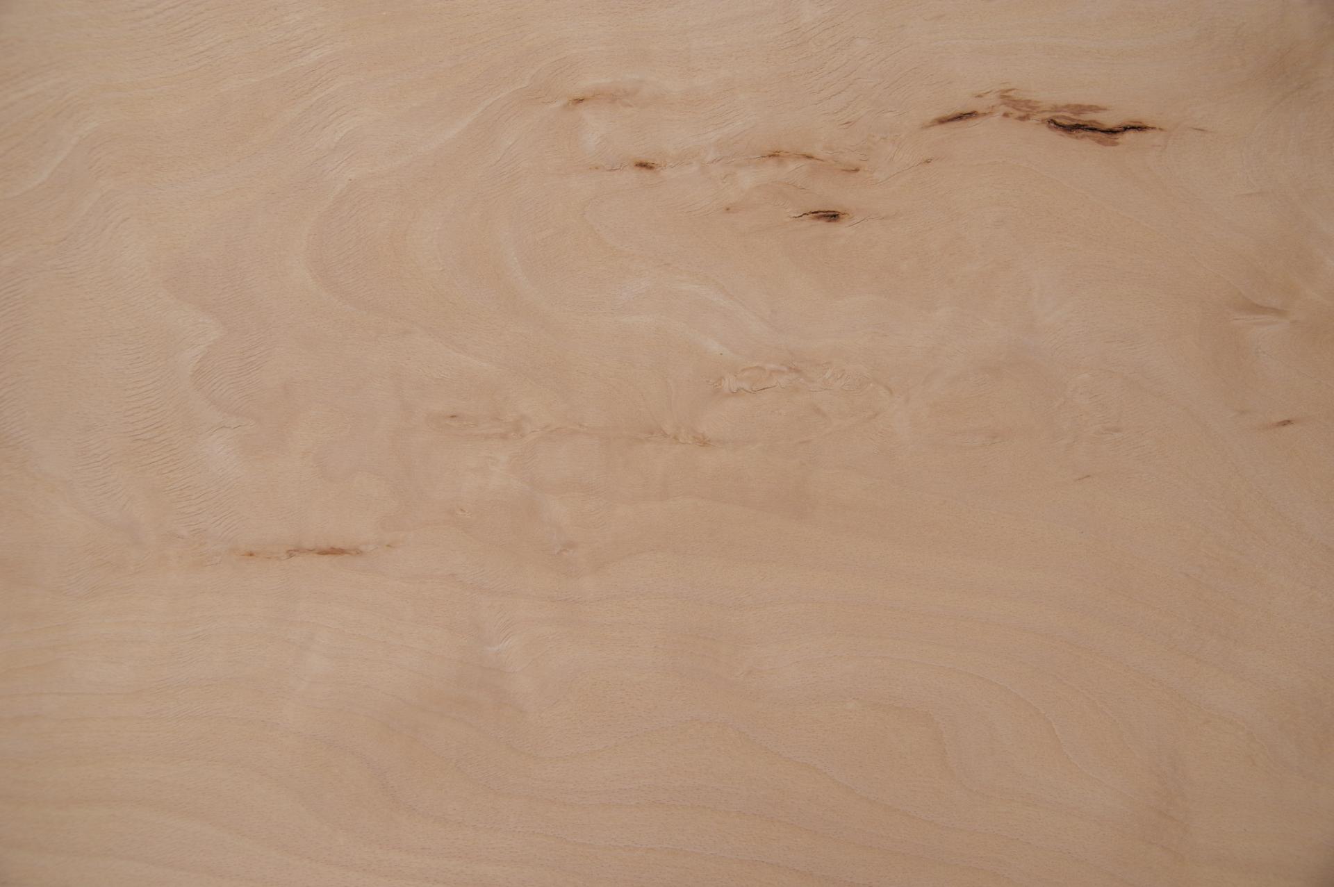 Buche -Furnier (2,4mm) - 2,87m² (8Stk. x 112cm x 32cm)