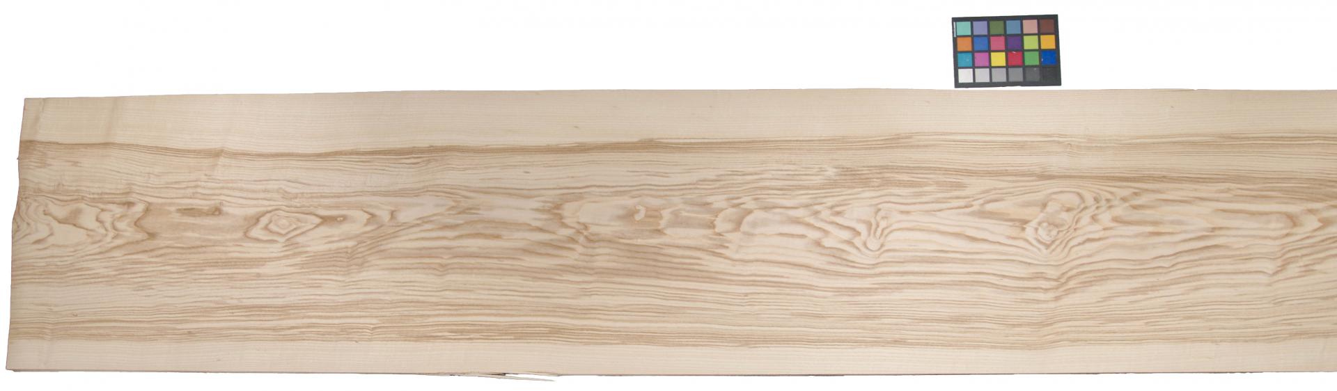 Olive Ash, - veneer (0,6mm) - 45,93m² (24pcs. x 368cm x 52cm)