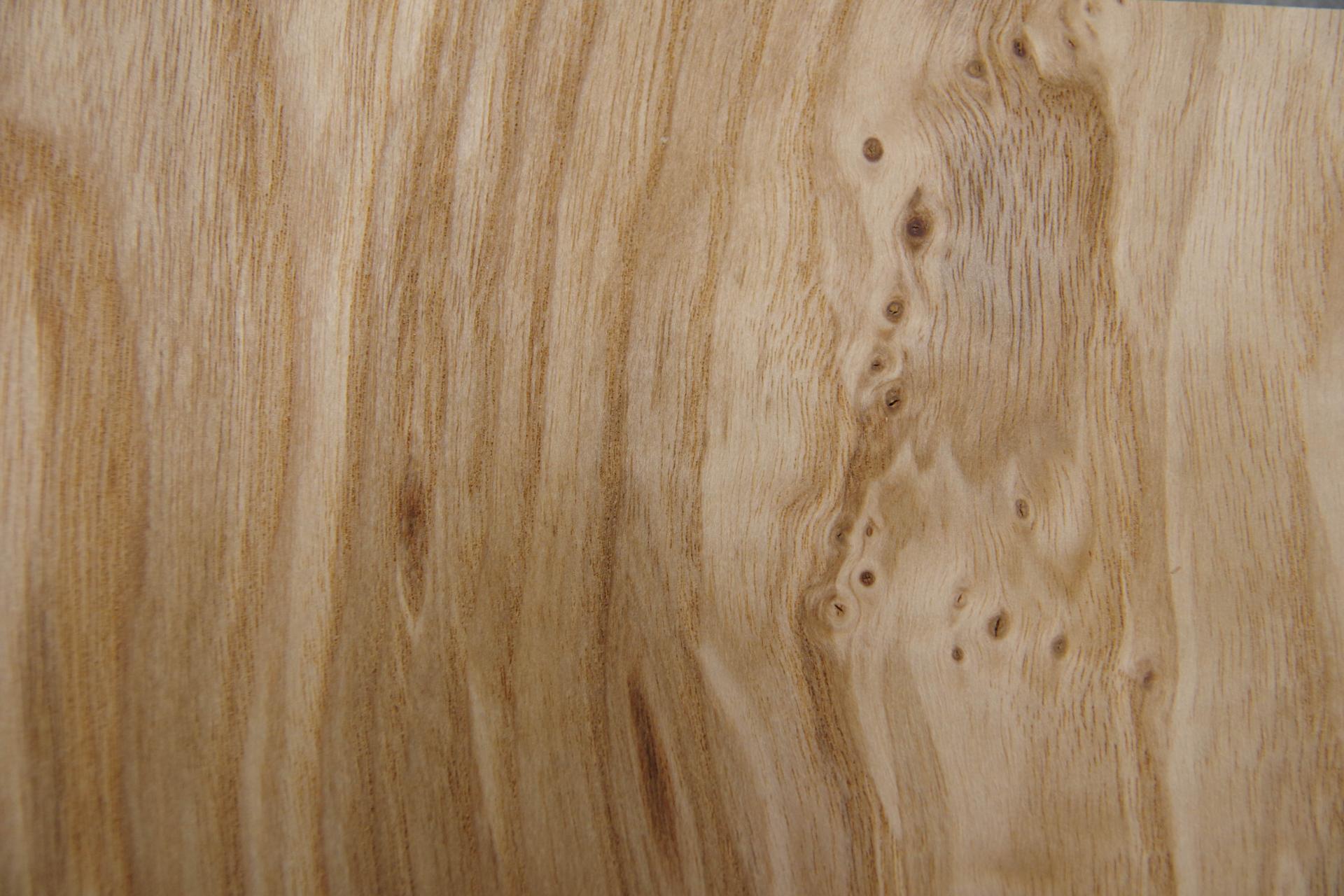 Esche Maser; oliv -Furnier (0,6mm) - 0,1m² (7Stk. x 11cm x 13cm)