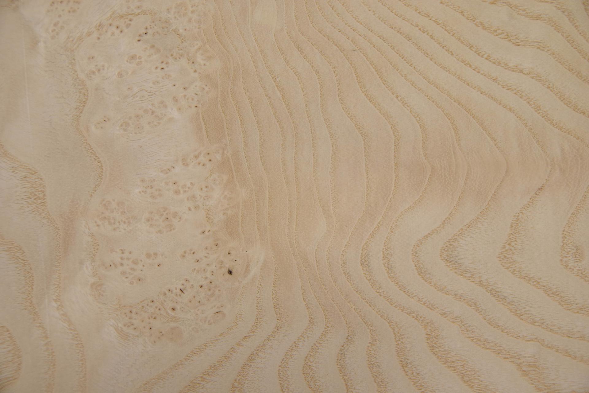 Esche Maser, weiß -Furnier (0,6mm) - 0,45m² (5Stk. x 50cm x 18cm)
