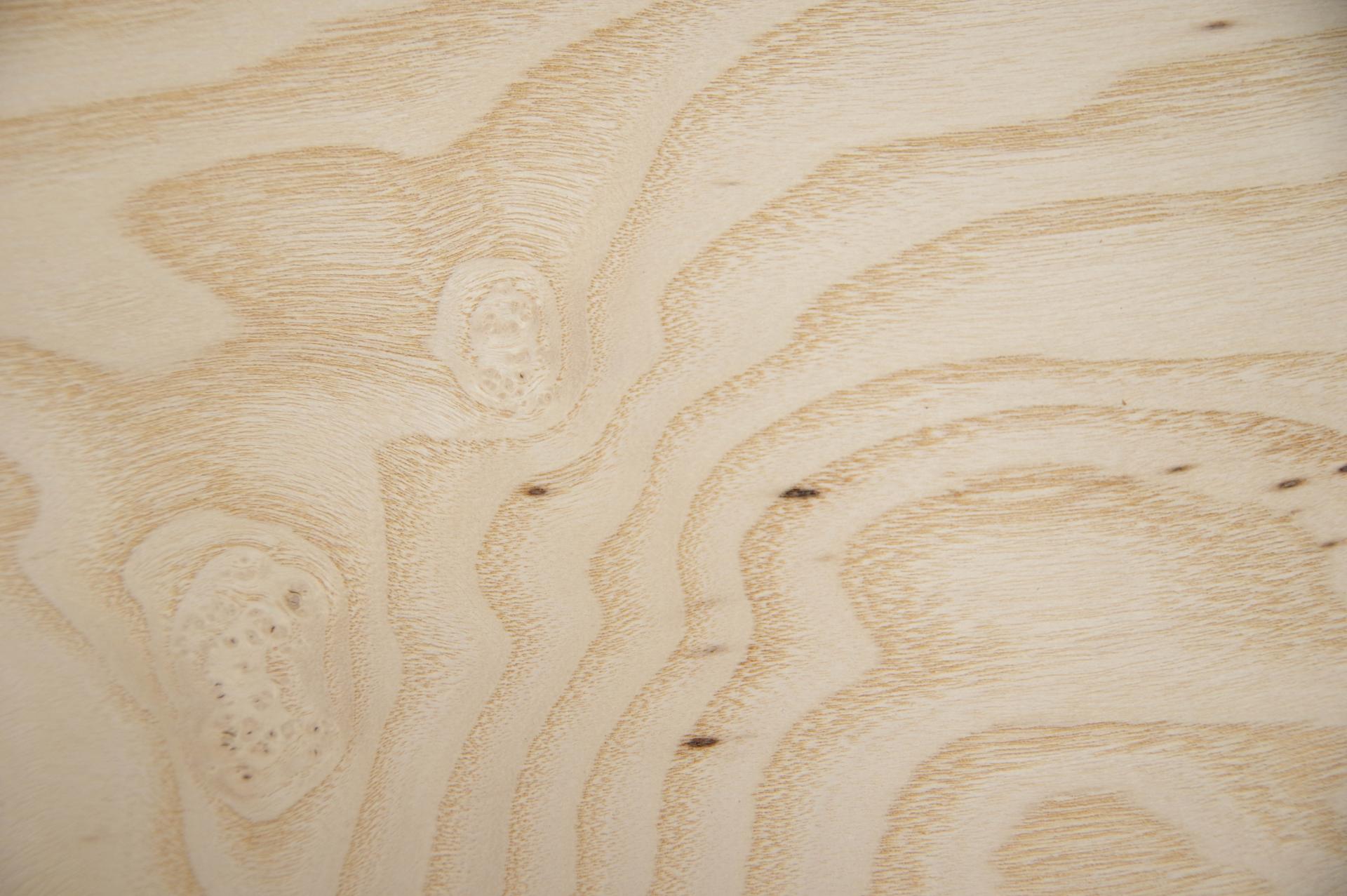 Esche Maser, weiß -Furnier (0,6mm) - 0,82m² (11Stk. x 53cm x 14cm)