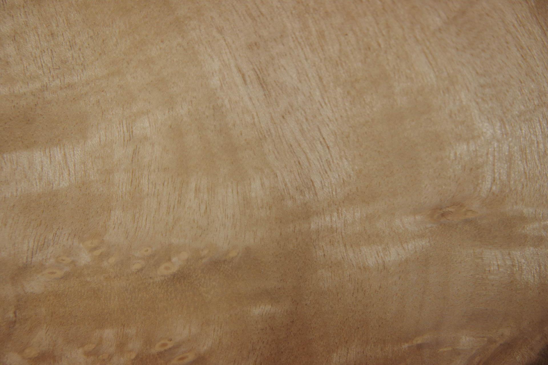 Myrtle Burl; Pepperwood; Laurel, - veneer (0,6mm) - 0,36m² (21pcs. x 20cm x 8,5cm)