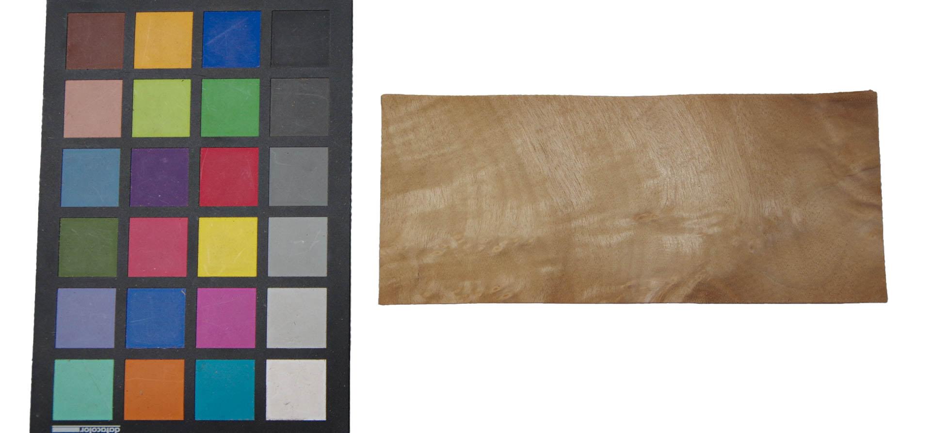 Myrtle Burl; Pepperwood; Laurel, - veneer (0,6mm) - 0,36m² (21pcs. x 20cm x 8,5cm)