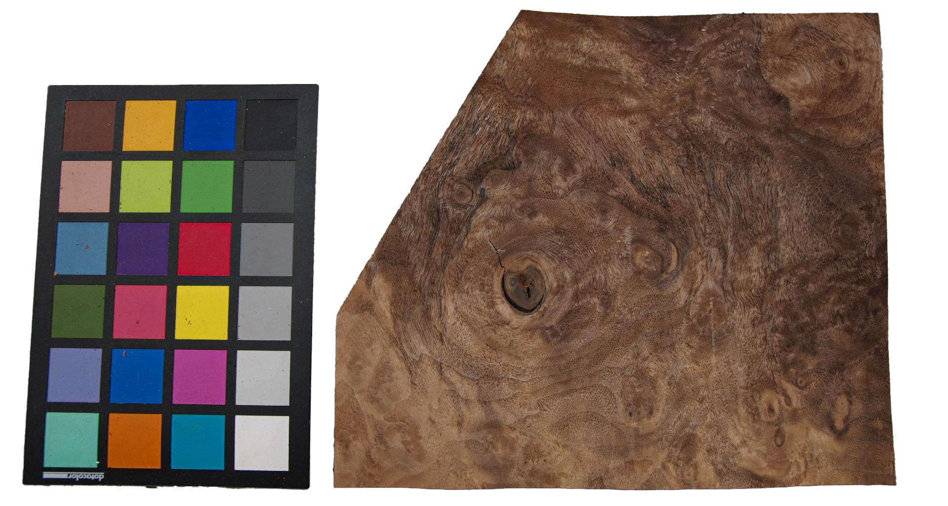 Californian Walnut Burl, - veneer (1,8mm) - 0,34m² (7pcs. x 22cm x 22cm)