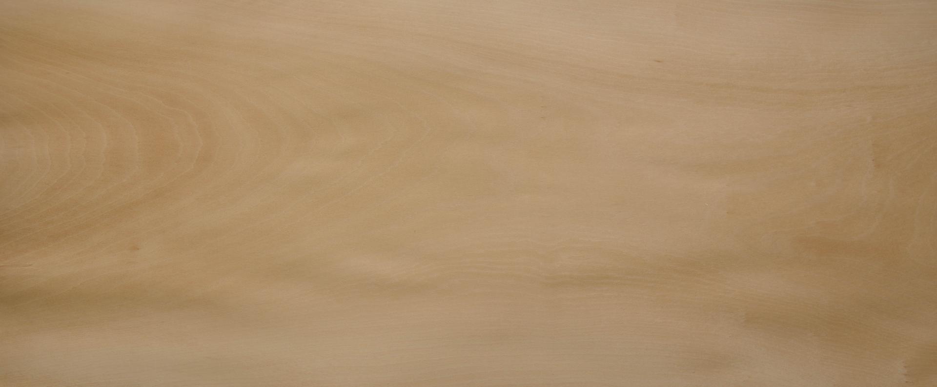 0.6mm Platane Furnier 9.18m² I 20 102 45