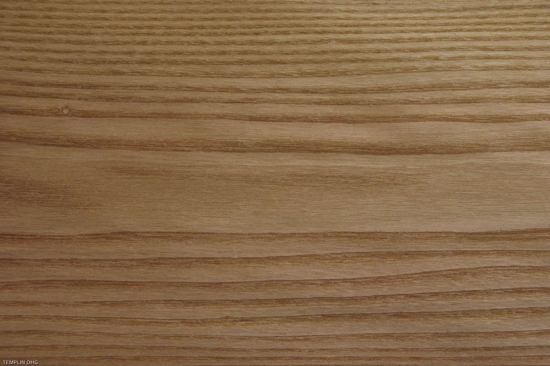 0,6mm Ulme (Rüster) europäisch Furnier 15,1m² J 31 232 21