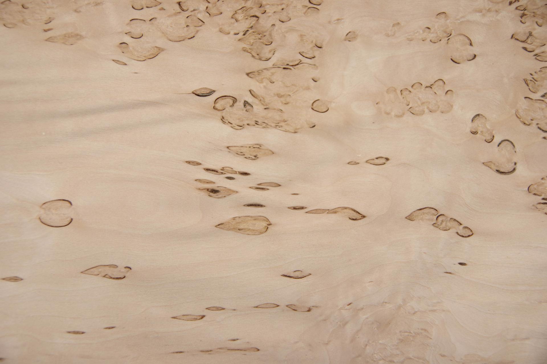 Birke Maser -Furnier (0,6mm) - 2,33m² (16Stk. x 81cm x 18cm)