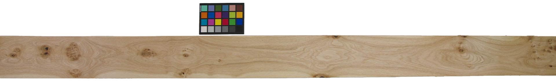 Eiche (Asteiche Wildeiche) Furnier mit Farbreferenz-Karte