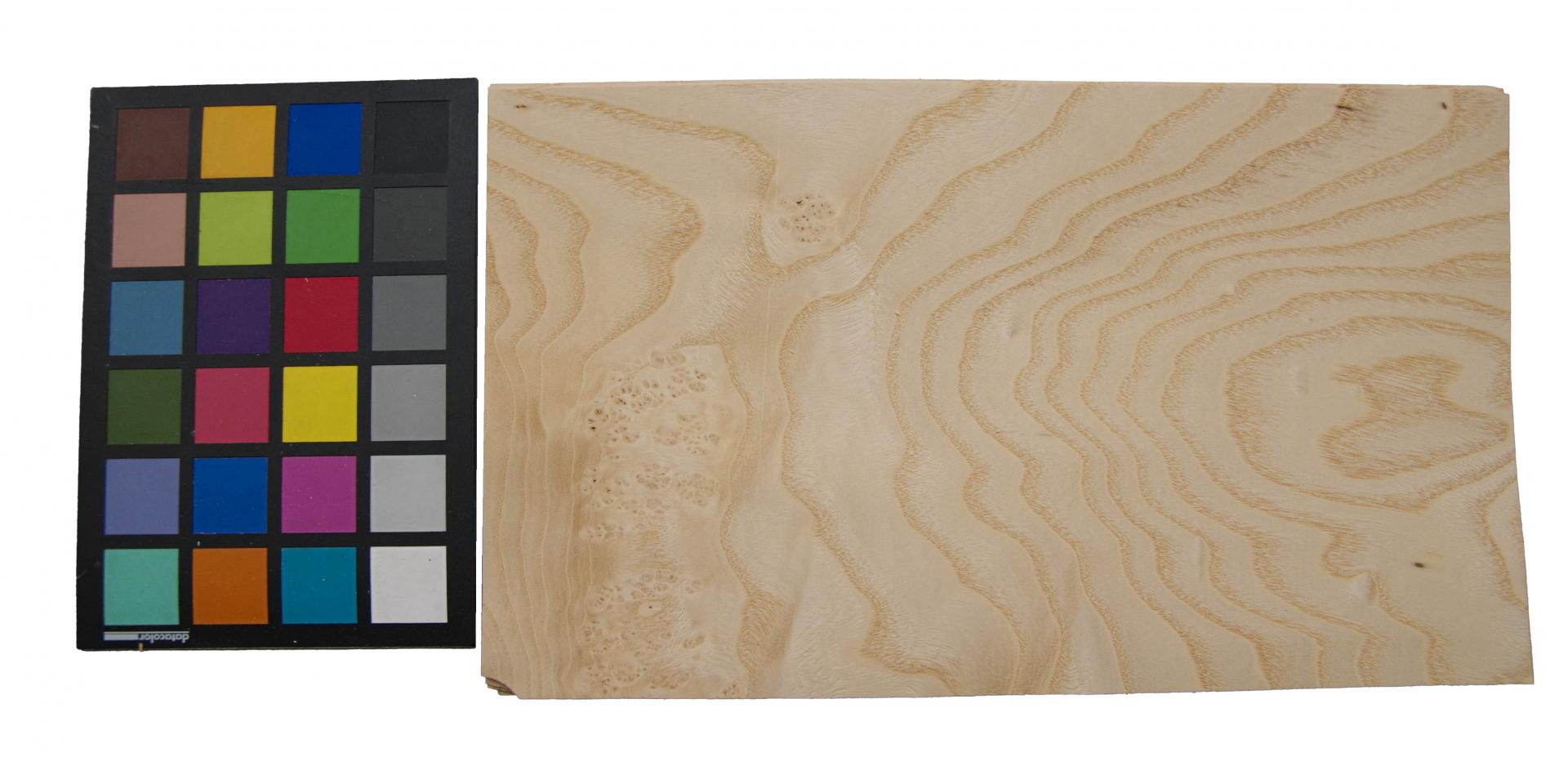 Esche Maser; oliv -Furnier (0,6mm) - 1,09m² (16Stk. x 34cm x 20cm)