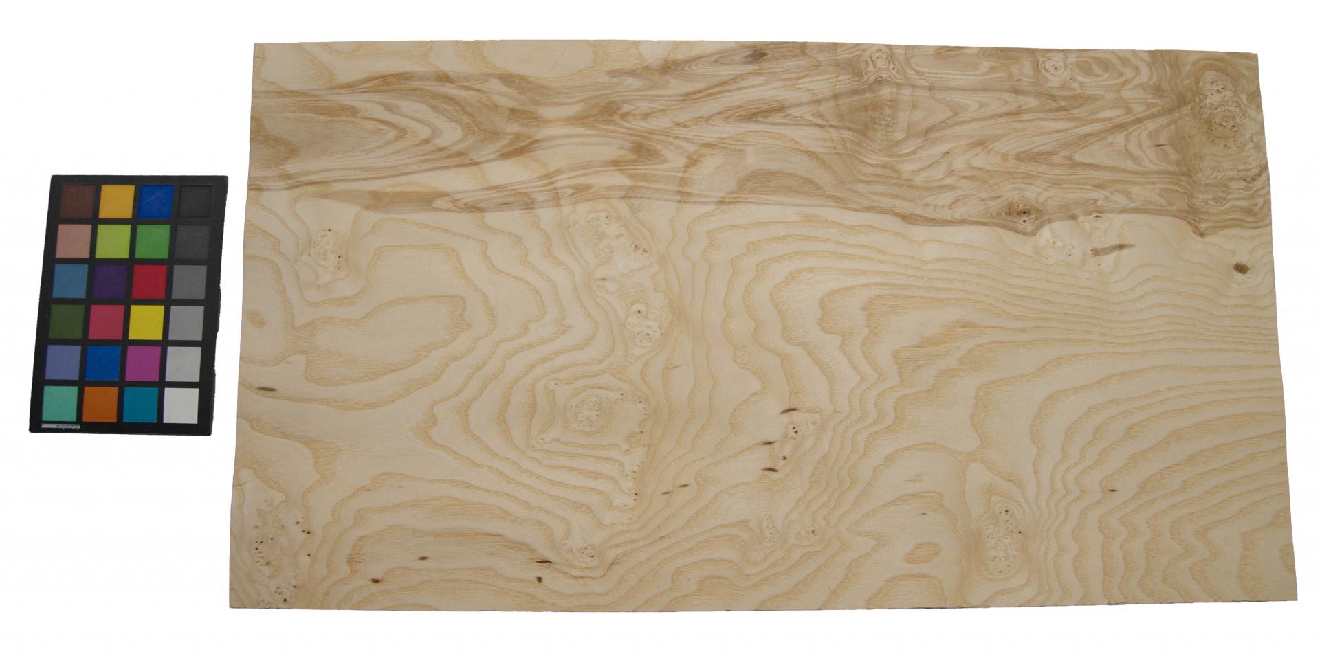 Olive Ash Burl, - veneer (0,6mm) - 3,47m² (11pcs. x 77cm x 41cm)