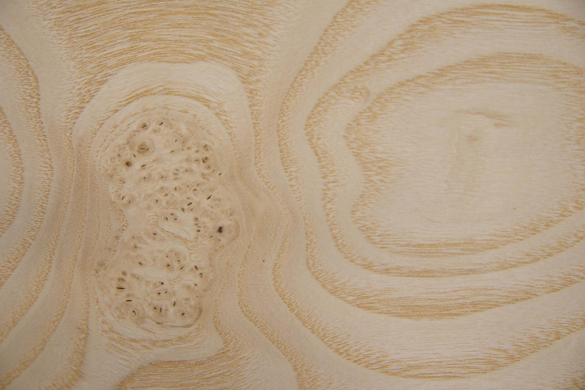 Esche Maser, weiß -Furnier (0,6mm) - 1,32m² (8Stk. x 55cm x 30cm)