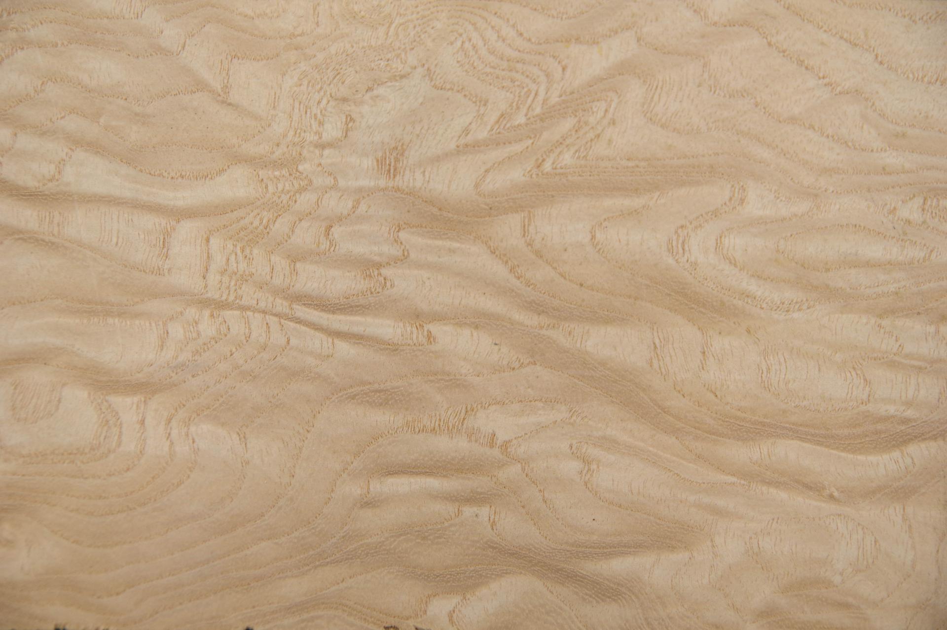 Esche Maser, weiß -Furnier (0,6mm) - 0,16m² (5Stk. x 25cm x 13cm)